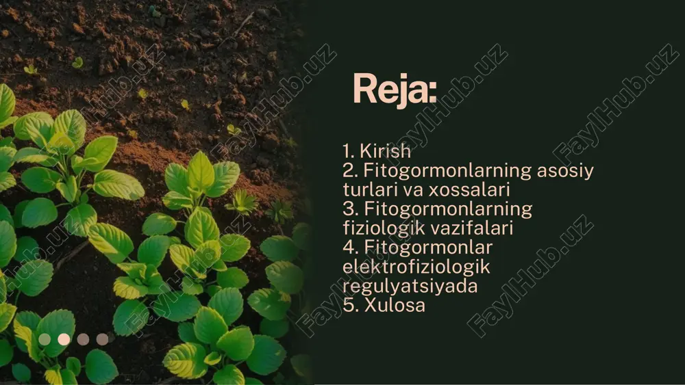 di va ildizlardan yuqoriga transport qilinadi. abssiz kislotasi stress gormoni sifatida tanilib, qurg‘oqchilik sharoitida og‘izchalarning yopilishi va urug‘larning qishlashiga yordam beradi. u stomatal hujayralarda kaliy ionlari oqimini boshqarib, suv yo‘qotilishini kamaytiradi. etilen etilen gaz holidagi fitogormon bo‘lib, asosan mevalarning pishishi, barg va gul to‘kilishida muhim rol o‘ynaydi. u signal transdutsiyasi jarayonlarini faollashtiradi va o‘simlikning o‘sish sikllarini tartibga soladi. shuningdek, brasnosteroidlar, salitsil kislotasi va jasmonat kabi boshqa fitogormonlar o‘simlikning stressga qarshi chidamliligini oshirishda va himoya tizimlarini faollashtirishda ishtirok etadi. fitogormonlarning asosiy turlari va xossalari o‘simlik o‘sishi va rivojlanishi murakkab biologik jarayon bo‘lib, bu jarayon hujayralarning bo‘linishi, cho‘zilishi va differentsiatsiyasini o‘z ichiga oladi. fitogormonlar, masalan, auksin, gibberellin va sitokininlar, bu jarayonlarni tartibga soladi. auksin o‘simlikning cho‘zilishiga yordam berib, ildiz va poyaning o‘sishini rag‘batlantiradi. gibberellin esa hujayralarning cho‘zilishi va bo‘linishini tezlashtirib, o‘simlikning bo‘yini uzaytiradi. sitokinin hujayra bo‘linishini boshqarib, o‘simlikning vegetativ qismlarining rivojlanishini ta’minlaydi. o‘simlik o‘sishi va rivojlanishi stressga chidamlilikni boshqarishda fitogormonlarning roli katta. …