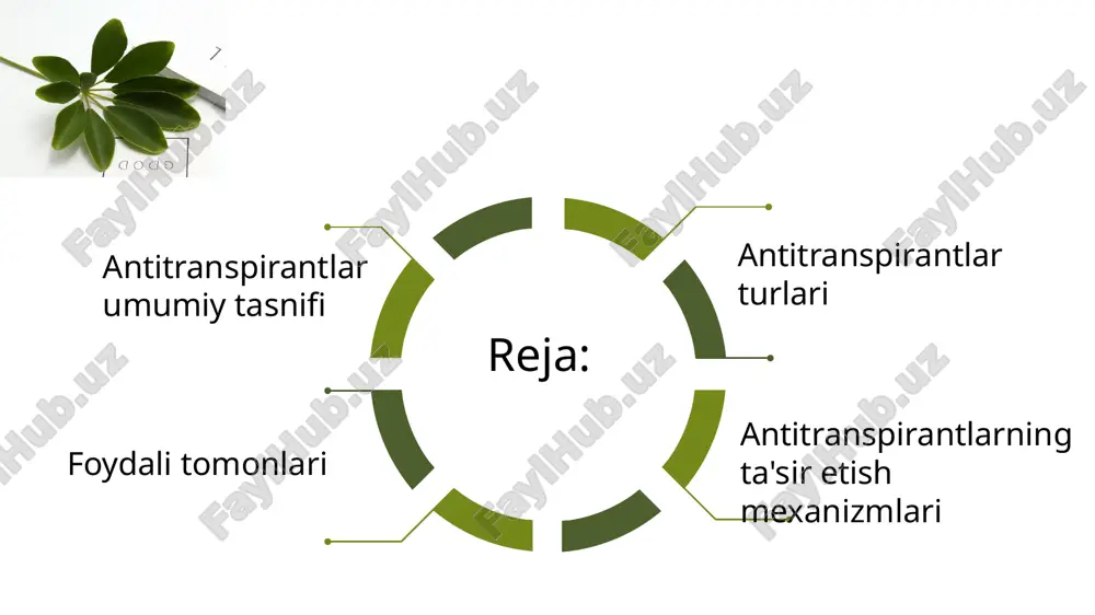 sida abskis kislotasi va glyalakikal kabi kompazitsiyalari bor. ba'zboiiostimulyatorlar masalan: amino kislota va vitaminlar asosida mahsulotlar ósimlikning suvni saqlash qobilyatini yqxshilash orqali antitranspirant sifatida ishlatiladi . har bir tur ma'lum sharoit va ósimlik turi uchun samarali bolishi mumkin. etiboringiz uchun rahmat. image1.jpeg image2.jpeg image3.jpeg image4.jpeg image5.jpeg image6.jpeg image7.jpeg image8.jpeg