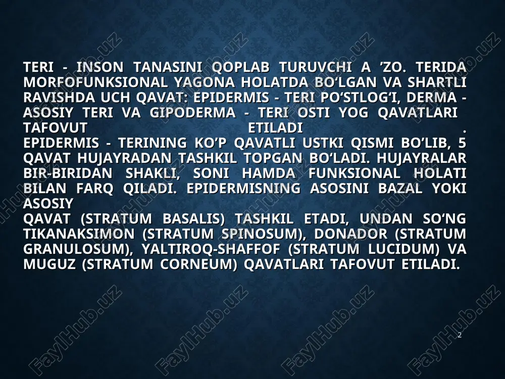 on qavat (stratum reticulare). gipoderma yoki teri osti yog4 qavati. bu qavat bir-biriga chuvalashib ketgan biriktiruvchi to‘qimalar to‘plamlaridan iborat. bu to‘plamlar orasida turli miqdordagi sharsimon yog hujayralari saqlanadi. gipodermada qon tomirlari, nerv tolalari, nerv oxirlari, ter bezlari, soch follikulalari joylashadi. * * terining asosiy funksiyalari himoya funksiyasi. terining himoya xususiyati turli mexanik, nur, mikroorganizmlar ta’siridan terini va butun organizmni himoya qiladi. nafas olish-chiqarish va rezorbsion funksiyasi. terining rezorbsion xususiyati yog'-soch follikulalari funksional faolligiga, suv-yog' mantiyasi holatiga, muguz qavatining pishiqligiga bog'liq. termoregulyator funksiyasi. tana harorati doimiyligini ta ’minlash, adaptatsion mexanizmlari turli-tumandir. terining sekretor funksiyasi. bu funksiya keratinotsitlarning sekretor faoliyati, immunoregulyator hujayralar hamda ter-yog‘ bezlari faoliyati hisobiga amalga oshadi. тerining ekskretor funksiyasi sekretor funksiyasi bilan birga kuzatiladi. almashinuv funksiyasi. terining depolash xususiyati moddalar almashinuvida katta ahamiyatga ega. retseptor funksiyasi. teri nafaqat organizmni turli ta’sirlardan himoya qiladi, balki multifaktor-analizator bo'lib, katta retseptor maydoni ham hisoblanadi. * * morfologik elementlar * birlamchi morfologik elementlar …