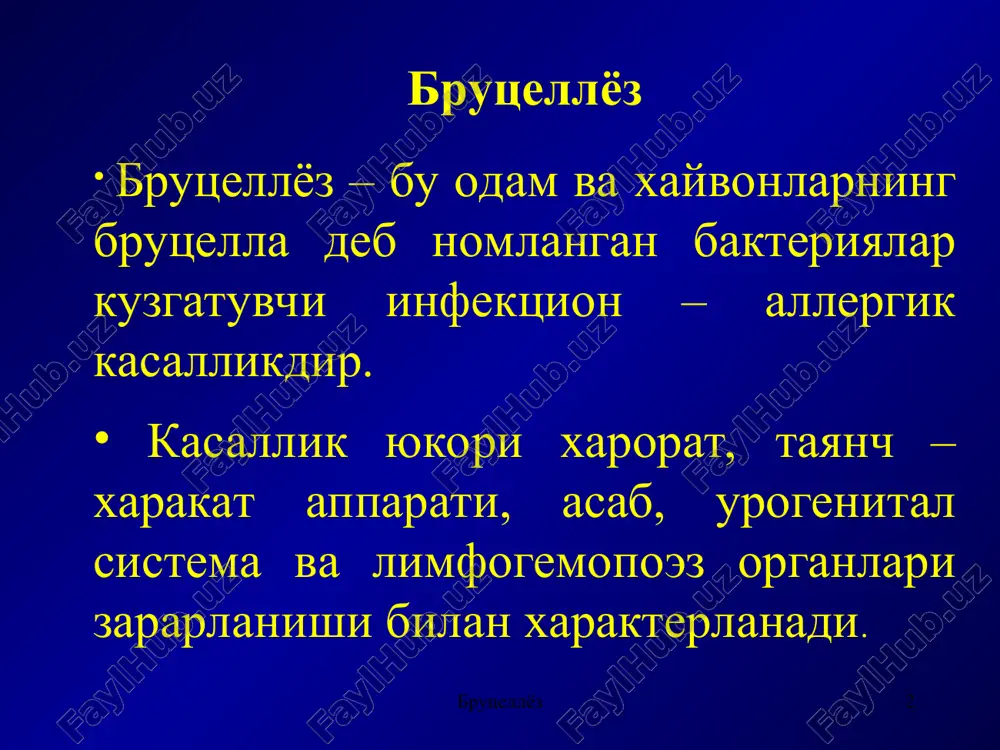 линган культуралар – br. canis. бруцеллёз бруцеллёз * этиологияси br. melitensis -майда шохли корамолларда бруцеллёз br. abortus bovis -йирик шохли корамолларда бруцеллезни br. abortus suis - чучкаларда бруцеллёз кузгатувчиси br. neotomae - каламушларда бруцеллёза қўзғатувчиси br. ovis - қўйларда бруцеллёз қўзғатувчиси, одам учун патогенен эмас, лекин уларда бу типга нисбатан антитела сақланади. br. canis - итларда бруцеллёз қўзғатувчиси. одамда хам касаллик чакириши мумкин. бруцеллёз бруцеллёз * бруцеллалар жуда майда шарсимон ёки овал шаклдаги бактериялар, ҳаракатсиз, спора ҳосил қилмайди, барча анилин бўёқлари билан осон бўялади, грамм манфий, факультатив анаэроб, ўзгарувчанлик хос (s ва l шакллар) сунъий озиқ муҳитларида улар секин ўсади, биринчи генерацияси (10-14- куни ва ундан кўп, 3 ойгача) ва майда шаффоф колониялар ҳосил қиладилар. улар учун яхши озиқ муҳити бўлиб жигарли бульон ва жигарли агар ҳисобланади. бруцеллалар ташқи таъсирларга чидамли ва ҳаётчан. улар паст ҳароратга чидамли, қор ва музда 1,5 ойдан 4 ойгача сақланади. бироқ қиздирилганда 60-70°с да 30 …