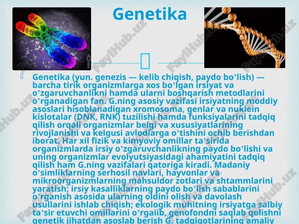 .ning keyingi rivojlanishi natijasida mendel kashf etgan qonunlarning universalligi uni barcha organizmlarga, jumladan odamga ham taalluqli ekanligi isbot qilindi.  keyinchalik organizmdagi aksariyat belgilarning irsiylanishida ikki va undan ortiq genlar ishtirok etishi b-n bog’liq bo’lgan komplementarlik, epistaz, polimeriya, pleyotropiya hodisalari hamda belgilar irsiylanishida allel bulmagan genlarning murakkab uzaro ta’siridan iborat kombinirlangan tip kashf etildi. g.ning mendel asos solgan ushbu yo’nalishi hozirgi davrda yanada tez rivojlanmoqda. bu yo’nalish klassik genetika, ya’ni mendelizm deb ataladi. mendel yaratgan irsiyat qonunlarini isbotlashda sitologiya fani erishgan yutuqlar ham katta ahamiyatga ega.  o`zgaruvchanlik – organizmlarni yangi belgilarni va xususiyatlarni namayon etish qobiliyatidir. o`zgaruvchanlik tufayli tur doirasidagi individlar bir-biridan farq qiladi. demak, irsiyat bilan o`zgaruvchanlik organizmning bir-biriga qarama qarshi, ammo o`zaro bog`langan xossalaridir. irsiyat tufayli turning bir xilligi saqlanib borsa, o`zgaruvchanlik turni aksincha har xil qilib qo`yadi. bir tur indi-vidlari o`rtasidagi tafovutlar organizm genotipining o`zgarishiga bog`liq bo`lishi mumkin. o`zgaruvchanlik tashqi sharoitlar bilan ham belgilanadi.  mendel …
