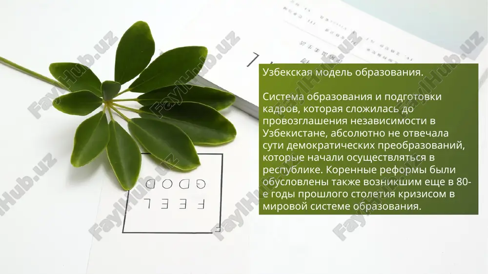 , а также платным профессиональным обучением в образовательных учреждениях на договорных началах; равными правами выпускников всех видов образовательных учреждений при поступлении в учебные заведения следующей ступени; предоставлением права гражданам, получившим образование в семье или путем самообразования, на аттестацию в порядке экстерната в аккредитованных образовательных учреждениях. спасибо image1.jpeg image2.jpeg image3.jpeg image4.jpeg image5.jpeg