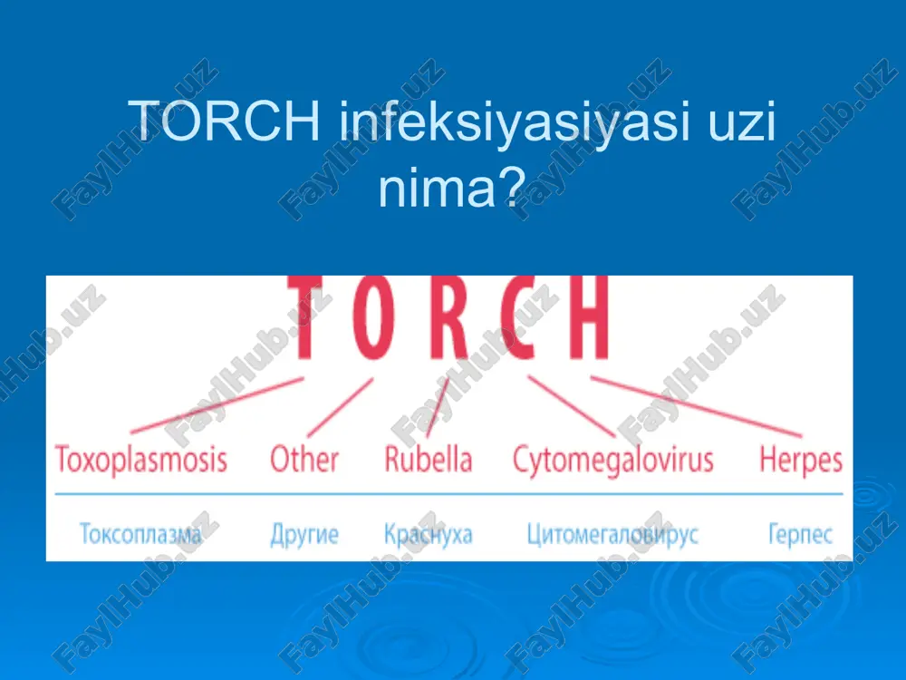 o’lishi mumkin. bemorlarda ichki a’zolar,bosh miya, mns shikastlanishi,trombositopeniya,gepatoliyenal sindrom,gepatit, zotiljam va boshqalar kuzatiladi.homilador ayollar sitomegaliya bilan og’risa (ayniqsa 3 oyligida) uning virusi homilaga o’tishi natijasida bola tushishi,o’lik tug’ilishi yoki og’ir tug’ma nuqsonlar kuzatilishi mumkin. gerpetik infeksiya bu qator kasalliklar guruhini o’z ichiga oladi,hozirgi vaqtda fanda 90ga yaqin gerpes viruslariga ta’rif berilgan:ulardan 5tasi odamdan ajratib olingan.ogv1, ogv2,smv, vzv(suvchechak/suvli temiratka), ebv(epshteyn-barr).gerpetik toshma odatda og’iz bo’shlig’i atrofida, lablarda, burun qanotlarida uchraydi. bemorlar zararlangan sohasining achishishi va terining qichishishidan shikoyat qiladi. infeksiya manbai bemor va virus tashuvchilar hisoblanadi. virus asosan havo-tomchi va jinsiy aloqa orqali yuqadi.stomatitlarda virusning 1-reproduksiyasi og’iz va tomoqning shilliq qavat epiteliylarida amalga oshadi.virus limfa orqali qonga o’tadi.bu patogenez gerpes virusining i tipiga mansub bo’lib,gingiostomit,faringit,aftoz,stomatit,gerpetik ekzema,ketorokonyuktivit,meningoensefalit kasalliklarini keltirib chiqaradi. gerpes virusining ii tipi jinsiy aloqa orqali yuqib,genital gerpes va chaqaloqlar gerpesi(tug’ilayotganda zararlanadi) kasallik qo’zg’otadi.bundan tashaqari virusning bu tipi bachodon bo’yni o’smasining rivojlanishiga sabab boladi. boshqa infeksiyalar torch tushunchasiga kiradigan infeksiyalarga har xil …