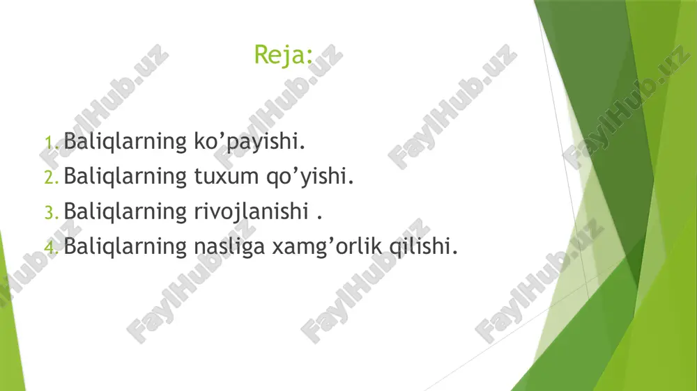 :zog’ara baliqning nasliga xamg’orlik qilish tuxum qo’yish uchun joy tanlashdan boshlanadi.tuxum qo’ygan baliq bu joyni tark etadi.nasli uchun g’amxo’rlik qilmaydigan baliqlar odatda juda ko’p tuxum qo’yadi.masalan okun 300minggacha,treska bir necha mln tuxum qo’yadi.ularning naslining juda oz qismigina voyaga yetadi.chunki tuxumlarining va lichinkalarining ko’p qismi boshqa hayvonlarga yem bo’ladi. ayrim baliqlarning nasli tog’risida g’amxo’rlik qilish instikti kuchli rivojlangan.chuchuk suv tikanbalig’ining erkagi urchish davrida suv o’tlarini so’lak bezlari ajratadigan suyuqlik bilan yopishtirib urg’ochilari uchun qulay uya yasaydi.bu uyaga bir necha urg’ochi baliq tuxum qo’yadi.erkak baliqlar uyaga qo’yilgan tuxumlarni urug’lantiradi va tuxumdan chiqqan baliqchalarni mustaqil oziqlana oladigan bo’lguncha himoya qiladi.dengiz otchasi tuxumlarini qornidagi maxsus xaltachasida olib yuradi.afrika tilyapiya balig’ining erkaklari tashlagan tuxumlarni og’iz bo’shlig’ida olib yuradi.biror xavf tug’ulgidek bo’lsa hatto yosh baliqchalari ham erkak baliqning og’ziga kirib yashirinib oladi. e’tiboringiz uchun rahmat! image1.jpeg image2.jpeg image3.jpeg image4.jpeg image5.jpeg image6.jpeg image7.jpeg image8.jpeg image9.jpeg image10.jpeg image11.jpeg /docprops/thumbnail.jpeg
