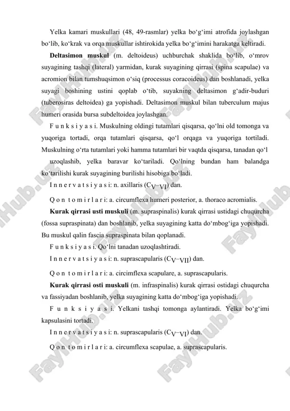 apularis. rasm. qo‘lning yuza (teri osti) fassiyasi. 1–m. pectoralis major; 2–fascia axillaris; 3–fossa axillaris; 4–m. triceps brachii; 5–sulcus bicipitalis medialis; 6–v. basilica; 7–epicondylus medialis; 8– fascia antebrachii; 9–m. flexor carpi ulnaris; 10–m. flexor digitorum superficialis; 11–m. palmaris longi payi; 12–m. palmaris brevis; 13–aponeurosis palmaris; 14–thenor; 15–m. flexor carpi radialis; 16–m. brachioradialis; 17–aponeurosis m. bicipitis brachii (fascia pirogowi); 18–m. bicips brachii; 19–fascia brachii; 20–v, cephalica; 21–sulcus deltoidea pectoralis; 22–m. deltoideus. kichik yumaloq muskul (m. teres minor) kurak suyagining lateral qirrasi va kurak osti chuqurcha fassiyasidan boshlanib, yelka suyagining katta do‘mbog‘iga yopishadi. f u n k s i y a s i. yelkani tashqi tomonga aylantiradi. yelka bo‘g‘imi kapsulasini tortadi. i n n e r v a t s i y a s i: n. axillaris (cv) dan. q o n t o m i r l a r i: a. circumflexa scapulae. katta yumaloq muskul (m. teres major) kurak qirrasining pasti …
