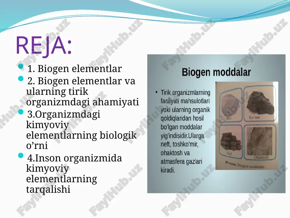 a tez chalinadi. rux — organizmda co2 hosil bo‘lishi va oqsillarni o‘zlashtirilishida muhim ahamiyatga ega. rux yetishmasligi oqibatida g‘alladoshlar, sabzavotlar va makkajo‘hori kasalliklarga tez chalinadi. molibden — azotning o‘zlashtirilishida va organizmdagi oksidlanish-qaytarilish jarayonlarida o‘z o‘rniga ega . molibden — azotning o‘zlashtirilishida va organizmdagi oksidlanish-qaytarilish jarayonlarida o‘z o‘rniga ega. molibdenli mikroo‘g‘itlar molibden — azotning o‘zlashtirilishida va organizmdagi oksidlanish-qaytarilish jarayonlarida o‘z o‘rniga ega . molibden — azotning o‘zlashtirilishida va organizmdagi oksidlanish-qaytarilish jarayonlarida o‘z o‘rniga ega. molibdenli mikroo‘g‘itlar ftor — tirik organizmlar suyak to‘qimalarining hosil bo‘lishi va o‘sishida juda zarur elementlardan biri hisoblanadi. tishlar ularda ftor miqdori kamayganda nuray boshlaydi. ftor — tirik organizmlar suyak to‘qimalarining hosil bo‘lishi va o‘sishida juda zarur elementlardan biri hisoblanadi. tishlar ularda ftor miqdori kamayganda nuray boshlaydi. organizmdagi kimyoviy elementlaming biologik o‘rni organizmda makroelementlaming asosiy vazifasi to‘qimaiarni hosil qilish, shuningdek osmotik bosimni, ion va kislota-asos tarkibini me'yorida ushlab turishdir. mikroelementlar esa fermentlar, gormonlar, vitaminlar, biologik faol moddalar tarkibiga …