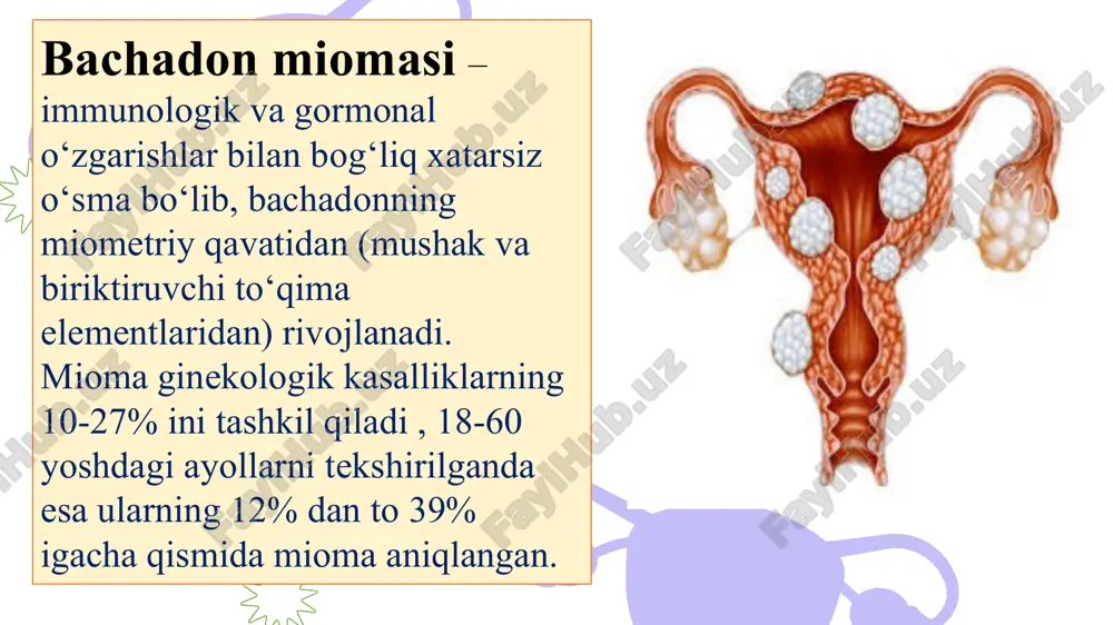 hi sabab paydo bo’lishi mumkin. inson organizmida endogen estrogenga o’xshash moddalar aniqlangan va bachadon miomasi ularga xuddi estrogenlar kabi sezuvchanlikka egadir. ushbu moddalar ksenoestrogenlar deyiladi va ularning mavjudligi, shuningdek, o’sma shakllanishiga turki bo’lishi mumkin. иммун тизимининг ўрни табиий киллерларнинг ортиши; т-лимфоцитларнинг камайиши; периферик т-хелперларнинг ошиши; иммун тизимининг бузилиш даражасининг миоматоз тугунлар сонини билан корреляцияси; миоматоз тугунлар сонининг ортиши, в-лимфоцитларнинг камайишига олиб келади тугма ҳамда гуморал иммун тизими жараени активацияси фонида иммуносупрессив компонентларнинг ошиши jоylashuvi bo‘yicha : - subsеrоz – qorin bo’shlig’i tomon, - intramural yoki intеrstitsial - muskullararo - submukоz – shilliqosti , bachadon bo’shlig’i tomon - intraligamental – boylamlar orasidagi mioma klassifikatsiya классификация (figo, 2011) турлари: 0 – субмукоз; 1 – субмукоз, ˂50% интрамурал компонент; 2 – субмукоз, 50% интрамурал компонент; 3 – интрамурал, эндометрийга якин; 4 – интрамурал; 5 – субсероз, >50% интрамурал компонент; 6 – субсероз, ˂50% интрамурал компонент; 7 – субсероз; 8 – бошка локализация 0 …