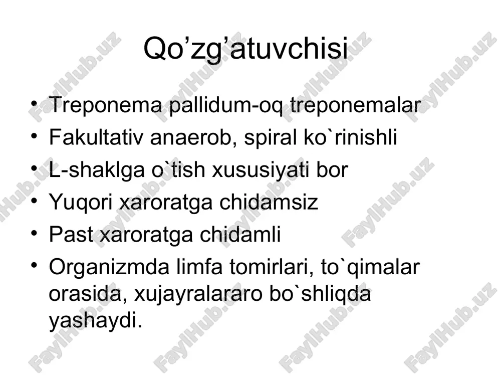 oqchalar, gummalar va rozeolalar ko`rinishida namoyon bo`ladi b) uchlamchi yashirin: faqat serologik reaktsiyalar musbat bo`ladi. zaxmning davrlari olatda va chov soxasida qattiq shankrlar qov soxasi trixofitiyasi qov soxasida so`gallar olatda qattiq shankr olatda qattiq shankr yorg’oqda qattiq shankr olatda qattiq shankr so’zak olatda qattiq shankr olatda qattiq shankr olatda qattiq shankr olatda qattiq shankr эroziv yarali-qaloq shankr anal' soxasida qattiq shankr labda qattiq shankrning joylashishi (ekstrogenital joylashish) labda qattiq shankrning joylashishi olatda qattiq shankr qattiq shankrning ko`rinishlari katta uyatli labda qattiq shankr indurativ shish. qattiq shankrning atipik joylashuvi bachadon bo`yinchasida qattiq shankr balonopastit qattiq shakrning asorati. parafimoz qattiq shakrning gangrenizatsiyaga uchrashi qattiq shankrning fagedenizmga aylanishi olatda qattiq shankr piodermiyaning gangrenoz shakli papulyoz sifilis anal soxasida papulyoznaya sifilis sifilitik impetigo sifilitik ektima pustulyoz sifilid jinsiy olatda qo`tir kanalarining papulalari va eroziyalari spinotsellyulyar epitelioma keng kandilomalar varikoz gemoroidal tugunlar tashxisoti birlamchi seronegativ davrida faqat yaralardan ajralayotgan ekssudat tarkibidan bakteriologik usulda spiroxetalarni topish …