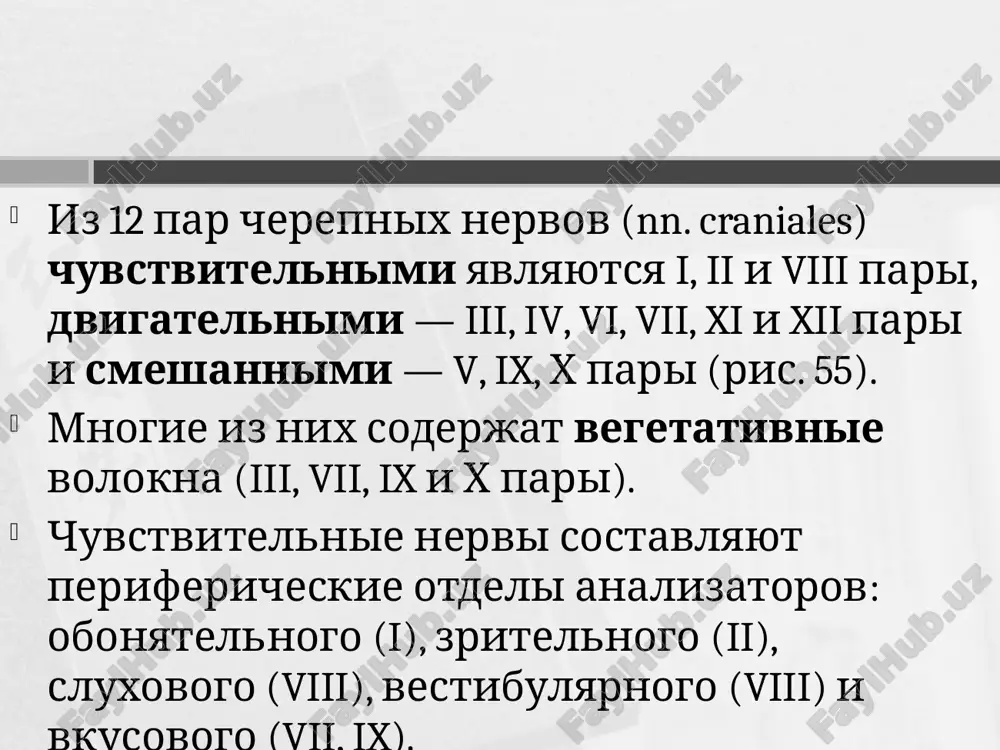 оватая ямка). пахучие вещества, содержащиеся в воздухе, возбуждают рецепторы — киноцилиоподобные волоски на конце периферического отростка обонятельной клетки. волоски увеличивают ее воспринимающую поверхность. аксоны обонятельных клеток (первого нейрона), пройдя в полость черепа через отверстия в пластинке решетчатой кости, вступают в контакт со вторым нейроном —митральными клетками обонятельной луковицы. часть аксонов второго нейрона идет дальше без перерыва, часть образует синаптическую связь с третьим нейроном, располагающимся в обонятельном канатике и обонятельном бугорке. i пара. обонятельный нерв nn. olfactorii. обонятельные луковица, канатик и треугольник по своему происхождению и строению представляют собой как бы часть коры мозга, отделенную от нее. вторые и третьи нейроны обонятельного пути являются «первичными» центрами обоняния. i пара. обонятельный нерв nn. olfactorii. аксоны третьих нейронов и часть вторых нейронов огибают мозолистое тело сверху и снизу и в составе клиновидного пучка (fasciculus uncinatus) подходят ко вторичным корковым обонятельным центрам (парагиппокампова (в ее крючке — uncus) и грушевидная извилины, гиппокамп. i пара. …