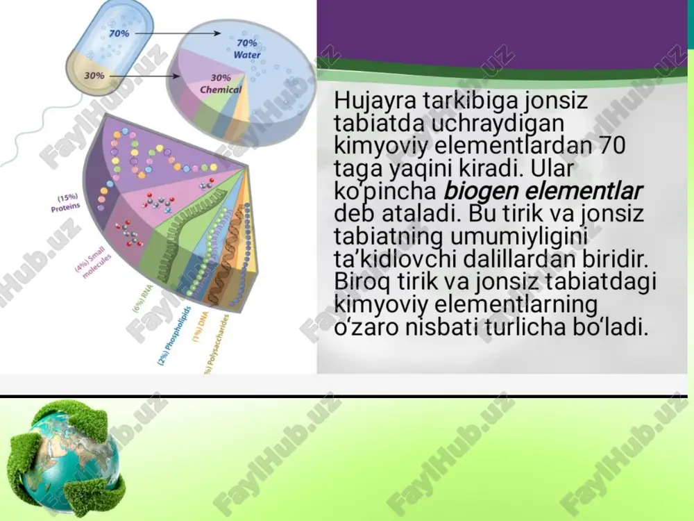 bilan ifoda etiladi. hujayraning hayotiy sikli. ona hujayraning bo‘linib ko‘payishidan hosil bo‘lgan hujayraning bo‘linib ko‘payishi yoki nobud bo‘lgunigacha bo‘lgan davr hayotiy sikl (hujayra sikli) deyiladi. hujayra hayotiy sikli bir nechta davrlardan iborat bo‘linish davri. bunda hujayraning bo‘linishi sodir bo‘ladi. o‘sish davri. hujayra bo‘linib ko‘paygach, ma’lum o‘lchamlarga qadar hajmi ortadi, o‘sa boshlaydi. diff erensiatsiyalanish (ixtisoslashish) davri. bu davrda hujayra ma’lum tuzilish va funksional xususiyatlarga ega bo‘ladi. yetuklik davri. hujayra ixtisosligiga mos holda u yoki bu funksiyani bajaradi. qarish davri. bu davr hujayra hayotiy funksiyalarining pasayishi bilan ifodalanadi, hujayraning bo‘linishi yoki nobud bo‘lishi bilan yakunlanadi. hujayralar bo‘linishining ikkita usuli bor: mitoz va meyoz. мitoz – eukariot hujayralarning bo‘linishi jarayoni bo‘lib, uning natijasida dastlab irsiy material ikki hissa ortadi, so‘ngra qiz hujayralar o‘rtasida teng taqsimlanadi. mitoz sikli – hujayraning bo‘linishga tayyorgarlik – interfaza va mitoz bo‘linish jarayonlarining o‘zaro bog‘langan va ketma-ket keladigan hodisalar majmuasi. metafaza(meta – keyin)da xromatidalar zichlashib, yo‘g‘onlashib, hujayra markazi bo‘ylab …