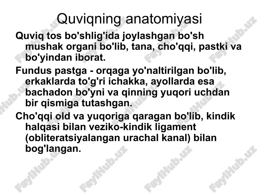 ior va ko'ndalang va yuqori-pastki o'lchamlarni o'lchaydigan bir qator bo'limlarni qilamiz. quviqning barcha bo'limlari va devorlarini, bo'yinlarini, siydik yo'llarining teshiklarini tekshirish, devorning tarkibini, qalinligi va tekisligini, qo'shimcha shakllanishlar mavjudligini, ularning harakatchanligi va joylashishini baholash kerak. agar transabdominal ultratovush tekshiruvi paytida siydik pufagining biron bir qismini ko'rishda qiyinchiliklar mavjud bo'lsa, uni tekshirish kerak. uning bo'shlig'i sensori (transrektal, transvaginal). quviqning old devori va pastki qismi, siydik chiqarish yo'llarining bo'yni va og'zi, kichik bo'shliqni egallagan shakllanishlar yaxshiroq ko'rinadi. transuretral ultratovush intrakavitar sensor ishlatiladi, bu esa siydik pufagini 360° sektorda tekshirish imkonini beradi tuus qovuq devorining barcha qatlamlarini aniq tasvirlaydi, bu o'simta invaziyasi chuqurligini aniqlashda tanlangan usuldir. quviq va siydik chiqarish kanalining rivojlanish anomaliyalari quviq divertikullari ureterosele ektopik siydik chiqarish teshigi siydik chiqarish teshigining yoshi quviq divertikullari (to'g'ri) divertikul - embriogenezda noto'g'ri shakllanganligi sababli siydik pufagi devorining barcha qatlamlarining qopga o'xshash chiqishi. divertikullar bitta yoki ko'p bo'lishi mumkin, ko'pincha devorlarda, kamroq tez-tez tepada yoki …