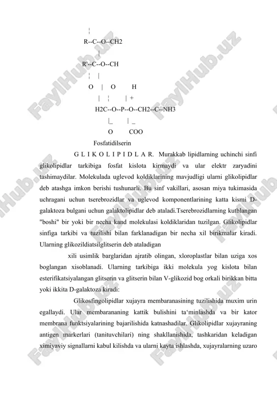 ipidlar tarkibiga fosfat kislota kirmaydi va ular elektr zaryadini tashimaydilar. molekulada uglevod koldiklarining mavjudligi ularni glikolipidlar deb atashga imkon berishi tushunarli. bu sinf vakillari, asosan miya tukimasida uchragani uchun tserebrozidlar va uglevod komponentlarining katta kismi d-galaktoza bulgani uchun galaktolipidlar deb ataladi.tserebrozidlarning kutblangan "boshi" bir yoki bir necha kand molekulasi koldiklaridan tuzilgan. glikolipidlar sinfiga tarkibi va tuzilishi bilan farklanadigan bir necha xil birikmalar kiradi. ularning glikozildiatsilglitserin deb ataladigan xili usimlik barglaridan ajratib olingan, xloroplastlar bilan uziga xos boglangan xisoblanadi. ularning tarkibiga ikki molekula yog kislota bilan esterifikatsiyalangan glitserin va glitserin bilan v-glikozid bog orkali birikkan bitta yoki ikkita d-galaktoza kiradi: glikosfingolipidlar xujayra membaranasining tuzilishida muxim urin egallaydi. ular membarananing kattik bulishini ta‘minlashda va bir kator membrana funktsiyalarining bajarilishida katnashadilar. glikolipidlar xujayraning antigen markerlari (tanituvchilari) ning shakllanishida, tashkaridan keladigan ximiyaviy signallarni kabul kilishda va ularni kayta ishlashda, xujayralarning uzaro alokalarida, membrana utkazuvchanlik xususiyatining bajarilishida,fermentlari faoliyatini aniklashda xal kiluvchi urinni egallaydi. sterinlar (sterollar) …