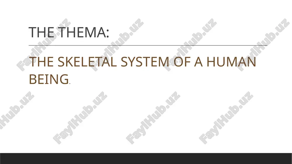 t of the human body. in this slide, we will examine the scientific aspects of the human skeleton. thank you image1.jpeg image2.png image3.png