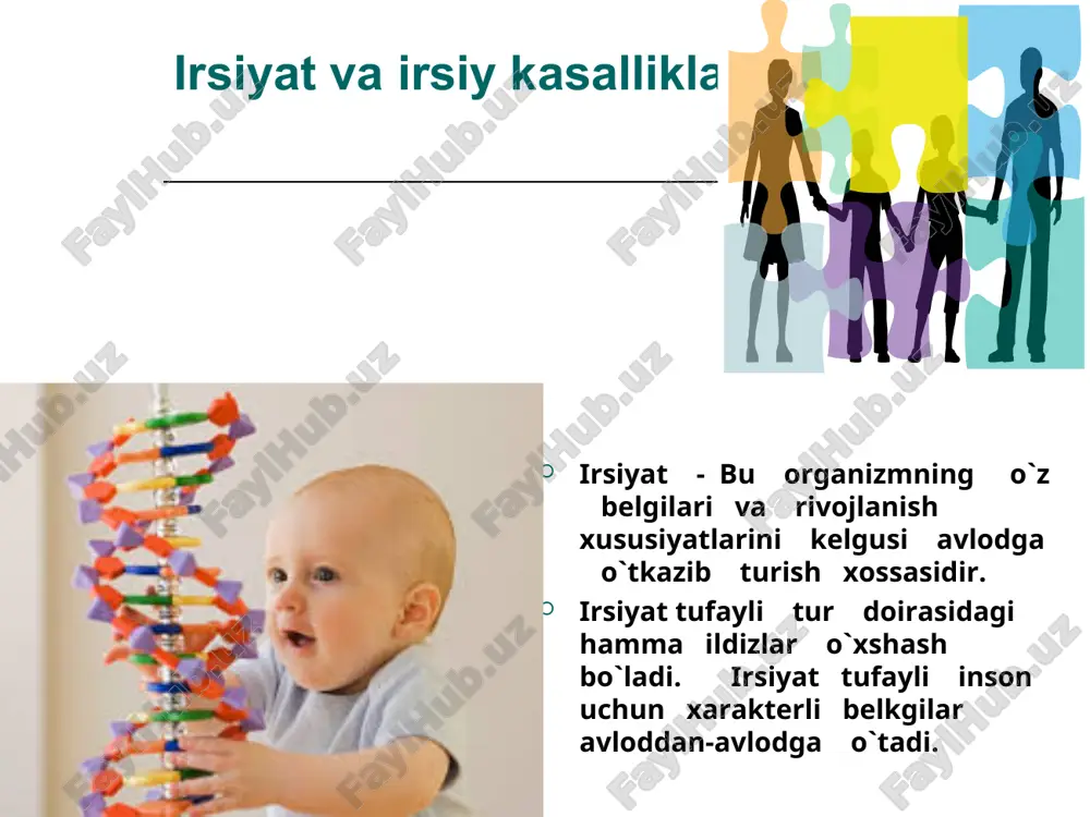 o`tib borishini aniqlash mumkin. odamga ba`zi qobiliyatlarning rivojlanishi irsiy omillarga bog`liq. masalan: moddalar almashinuvining ba`zi kasalliklari: qandli diabetning nasldan-naslga o`tishi, genetik metod bilan aniqlangan. bu kasallik me`da osti bezi faoliyatining buzilishi natijasida insuliy garmonini qonga chiqarolmay qoladi. keyin qondagi qand miqdori ko`payib odam organizmidagi moddalar almashinuvida chuqur o`zgarishlar ro`y beradi. irsiy belgilardan jingalak sochlik, ko`zining moviy bo`lishi, soch rangining malla yoki qora bo`lishi, qo`y ko`z, sepkillar, pakanalik, bo`yning uzun bo`lishi va boshqa belgilar avloddan-avlodga o`tadi. irsiy kasalliklardan tug`ma kar, gunglik, asab-ruxiy kasalliklar – shizofreniya, aqliy zaiflik, oligofreniya, epelepsiya, qon kasalliklari – gemofeliya, tug`ma trombositlarning yetishmasligi, verlgof kasalligi, daun kasaslligi, kleyfenter sindromi, shereshefkiy – terner kasalliklari avloddan-avlodga o`tadi. odamda egzaklar ikki xil bo`ladi. ayrim xollarda ikkita yoki uchta tuxum hujayralari urug`lanadi. bunda xuddi egizakmas yoki aka-uka, opa-singillardek bir-biriga o`xshash bir xil yoki har xil jinsdagi bolalar to`g`iladi. bitta tuxum hujayradan ikkita embrion paydo bo`lsa, bir tuxumdan egizaklar tug`iladi, ular bir jinsli, …
