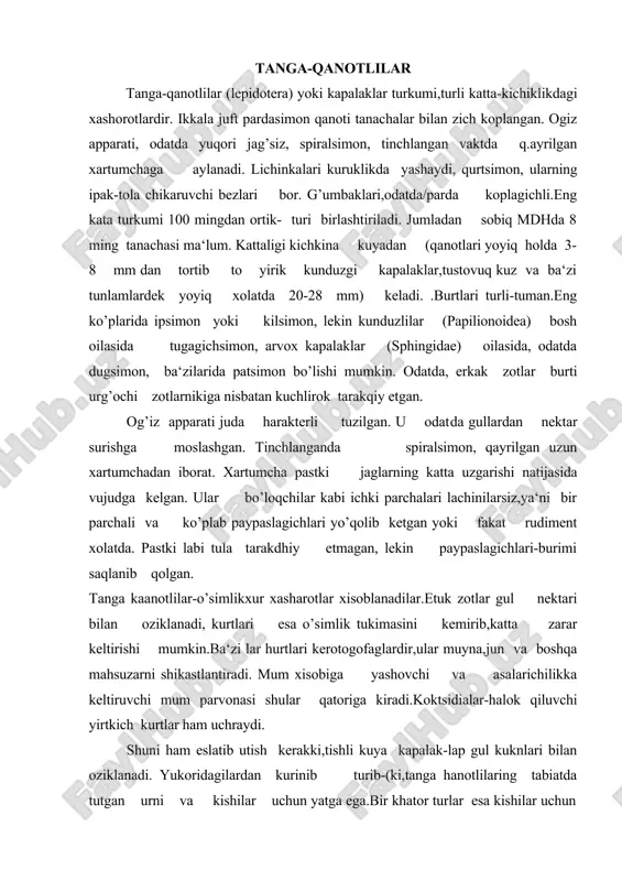 ok qiluvchi yirtkich kurtlar ham uchraydi. shuni ham eslatib utish kerakki,tishli kuya kapalak-lap gul kuknlari bilan oziklanadi. yukoridagilardan kurinib turib-(ki,tanga hanotlilaring tabiatda tutgan urni va kishilar uchun yatga ega.bir khator turlar esa kishilar uchun xom ashyo (ipak) 1zib beradi.turkum xozirgi sistemaga kura 3 kenja turkumga bulinadi. jag’lilar kenja turkumi. bu gruppa kemiruvchi oriz taratlilar oilasiga mansub khanotlari tuzilish jixatidan sodda ulgan mayda kuyalar kiradi.ularning qurtlari mox yoki lishayniklar bilan oziklanadi va xujalik ahamiyati yo’k. teng qanotlilar kenja turkumi. bu gruppaga kadim-va sodda belgilarga ega bo’lgan kapalaklar kiradi.kuprok straliyada uchraydi.ingichka-tukirlar oilasining turlari ko’prok ib,bir turining (turlari) kurtlari tuprokda yashaydi va zarar keltiradi. turli qanotlilar kenja turkumi.bu turkumga 70 orti kapalaklar oilasi birlashgan. og’iz organlari suruvchi tip-tuzilgan.ikkala juft qanotlari forma va tomirlanishi jixatidan xil emas.oldingilar ketingilariga nisbatan yirikrok.orka kag radius tomiri shoxlanmagan.kanotlar bir-biriga ilgakcha yordamida birikadi.bu kenja turkum mayda turli qanotlilar va yirik tur-qanotlilarga bo’linadi. mayda turli qanotlilar gruppaga mayda (kanotla-yoyilganda 20-25 …