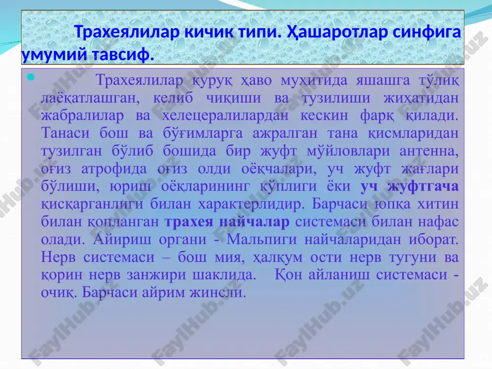 р личинкаси тузилиши ҳашоратлар хилма-хиллиги ҳашоратлар кўпайиши ва ривожланиши чала ўзгариш билан ривожланиш тўлиқ ўзгариш билан ривожланиш (метаморфоз) тухум личинка имога тухум личинка ғумбак имога қаттиқ қанотлилар ёки қўнғизлар, тангачақанотлилар ёки капалаклар, пардақанотлилар, икки қанотлилар ёки пашшалар ва бургалар сувараклар, термитлар, бешиктерватлар, тўғриқанотлилар, битлар, қандалалар ва ширалар. * ҳашоратларнинг табиат ва инсон ҳаётидаги аҳамияти ҳашоратларнинг табиатда тутган ўрни эътиборингиз учун раҳмат!