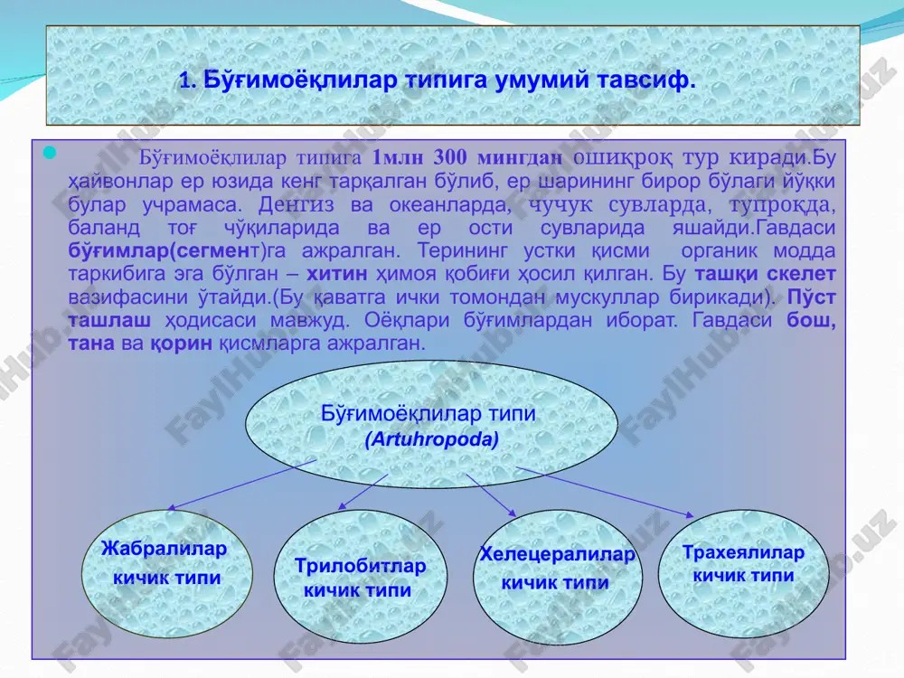 бўғимоёқлилар ( artuhropoda) типи - Page 2