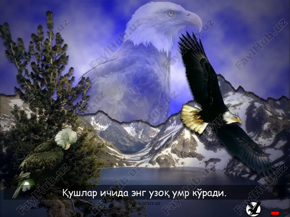 иш учун биз мана шундай ўзгариш жарайнидан ўтишимиз зарур. биз ўзгаришимиз керакми? ўзгаришларни қабул қилишимизда биз эски одатлардан воз кечишимиз лозим бўлади. эски одатлардан воз кечиш орқалигина биз бугунги куннинг афзалликларини кўра олишимиз мумкин. www.arxiv.uz 13 why is renewal needed? many times, we have to retreat for awhile and start a renewal process to continue taking successful flights, we sometimes need to get rid of memories, habits and other past traditions only freed from past burdens, can we take advantage of the valuable outcomes from a … renewal бунинг барчасини амалга ошириш учун кучли ирода керак бўлади... . www.arxiv.uz audio1.wav image1.jpeg image2.gif image3.gif image4.wmf image5.jpeg image6.wmf image7.jpeg image8.jpeg image9.jpeg image10.jpeg image11.jpeg image12.jpeg image13.jpeg image14.jpeg image15.jpeg image16.jpeg image17.jpeg