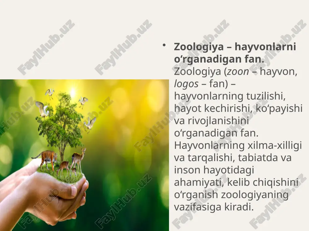 uhiti.yer yuzida hayvonlarning 2 mln ga yaqin turi tarqalgan. quruqlik, havo, tuproq, suv havzalari hayvonlar uchun asosiy yashash muhiti hisoblanadi. parazit hayvonlar uchun esa odam, hayvon va o‘simlik organizmi yashash muhiti bo‘ladi. hayvonlarning tuzilishi va hayot kechirishi xususiyatlari muayyan muhitga moslashgan. masalan, suv hayvonlarining gavdasi suyri shaklda, oyoq lari eshkakka aylangan. quruqlikda yashovchi hayvonlarning tanasi yapaloq, oyoqlari yaxshi rivojlangan bo‘ladi. yashash muhiti tarkibiy qismlarini tashkil etuvchi namlik, harorat, yorug‘lik va boshqalar ekologik omillar deyiladi. hayvonlarning gavda o‘lchami har xil bo‘ladi. ular qatorida og‘irligi 150 tonnaga yetadigan gigant kitlardan tortib faqat mikroskopda ko‘rinadigan, uzunligi millimetrning o‘ndan bir, hatto yuzdan bir ulushiga teng keladigan turlari ham bor. hayvonlarning ahamiyati. hayvonlar tabiatda va inson faoliyatida katta ahamiyatga ega. ko‘pchilik hayvonlar yashil o‘simliklar bilan oziqlanadi. ular o‘txo‘r hayvonlar deyiladi. boshqa hayvonlarni yeydigan hayvonlar yirtqich; odam, boshqa hayvon va o‘simlik to‘qimalarida yashaydigan hayvonlar esa parazit hisoblanadi. o‘txo‘r hayvonlar o‘simliklar va ularning qoldiqlarini maydalab, chirishini tezlashtiradi. …