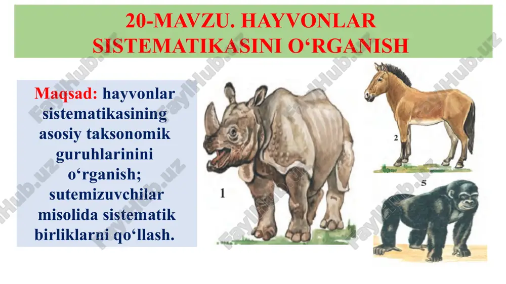 larni yozing. bo‘lim sinf oila turkum tur 3. kelib chiqishi jihatidan “ortiqcha” hayvonni aniqlang. 4. hayvonlar va ular mansub bo‘lgan sistematik guruhlar o‘rtasidagi muvofiqlikni aniqlang. 5. qo‘shimcha manbalardan foydalanib biror o‘simlik va hayvon turining sistematikadagi o‘rnini aniqlang. olgan ma’lumotlaringizni daftaringizda sxema yoki jadval ko‘rinishida ifoda eting. image1.png image2.png image3.png image4.png image5.png image6.png image7.png image8.png image9.png image10.png image11.png