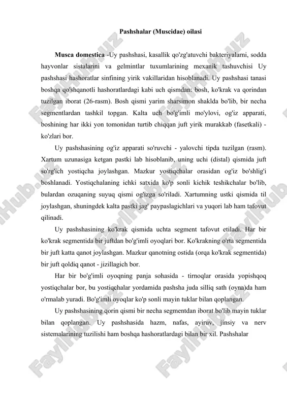 li mayin tuklar bilan qoplangan. uy pashshasining qorin qismi bir necha segmentdan iborat bo'lib mayin tuklar bilan qoplangan. uy pashshasida hazm, nafas, ayiruv, jinsiy va nerv sistemalarining tuzilishi ham boshqa hashoratlardagi bilan bir xil. pashshalar ayrim jinslidir. barcha hashoratlarda bo'lgani kabi jinsiy farq (dimorfizm holati) pashshalarda ham bor. erkak pashsha tanasining uzunligi 5,8-6,5mm bo'lgani holda, urg'ochi pashsha tanasining uzunligi 6,5-7,5 mm keladi. uy pashshalari juftlashganidan so'ng, urg'ochisi otalangan tuxumlarini iflos chiqindilarga, ochiq qolgan oziq-ovqatlarga tashlab ketadi. urg'ochi uy pashshasi bir yo'la 120-150 dona tuxum qo'yadi. uy pashshasining tuxumi oval shaklda bo'ib, ustki va ostki qutblari orasidan chuqur egat tortilgan harorat va havo yetarli bo'lgan hollarda tuxumdan lichinkalar taraqqiy etadi. 13 ta segmentdan iborat. lichinkalar uch marta tullab g'umbakka aylanadi. uy pashshasining gumbag'i harakatsiz, ovalsimon shaklda bo'ladi. g'umbakning ustki qobig'i qota boshlagan lichinka terisi (yolg'on pilla) dir. g'umbak taraqqiy etib, yetuk shaklga aylanadi. pashshalar sanitariya-gigiena qoidalariga rioya qilinmaydigan xonadonlarda bahor, yoz, …