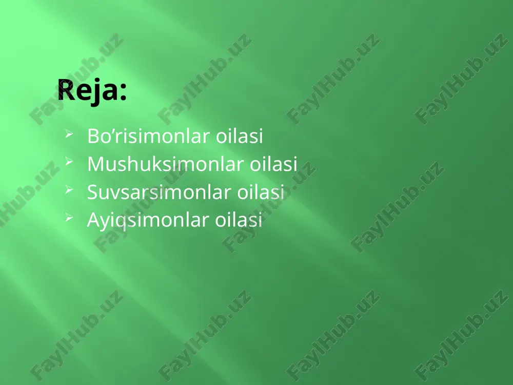 yirtqich sutemizuvchilar turkumi - Page 2