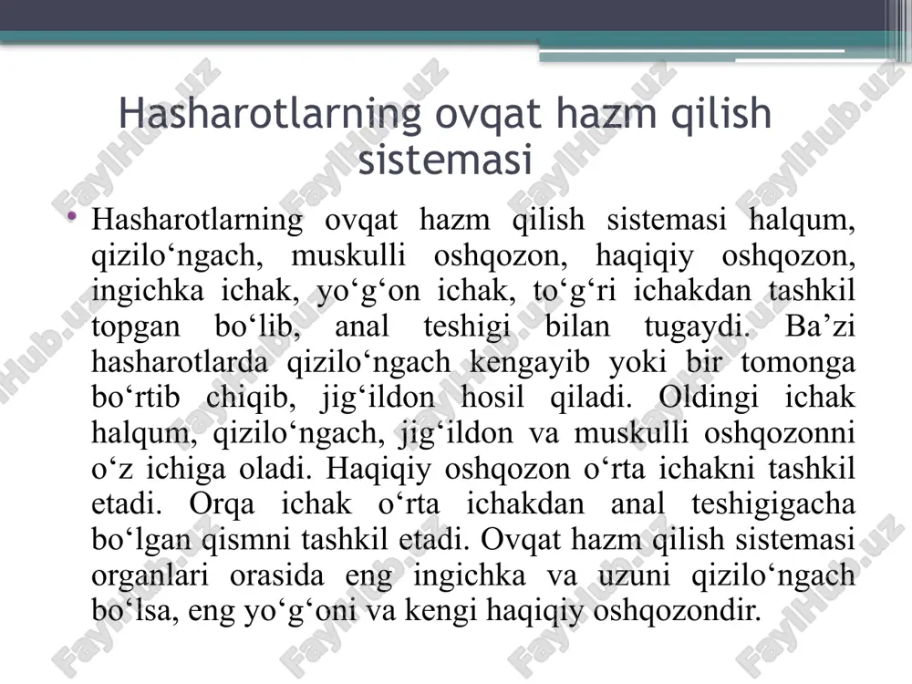 moddalarni parchalovchi fermentlar ishlab chiqaradi, ular ovqat hazm qilishda katta rol o‘ynaydi. so‘lak bilan birga o‘simliklarga yuborilgan modda xartum sanchilgan joyda shish va g‘urra hosil bo‘ladi. bu o‘simlik shirasining xartum sanchilgan joyga kelishini tezlashtiradi. halqum bo‘shlig‘ida oziq modda so‘lak bilan aralashadi. qizilo‘ngach orqali oziq ichakka o‘tadi, u yerda oziq vaqtincha to‘planib turishi ham mumkin. bu joy jig‘ildon qismi bo‘lib, oziqning jig‘ildonga va undan oshqozonga o‘tishini sfinkter nomli halqasimon muskullar tartibga solib turadi. oziq oshqozonga tushishidan avval muskulli oshqozonga tushadi. og‘iz apparati kemiruvchi tipda bo‘lgan hasharotlarda muskulli oshqozon yaxshi rivojlangan. bu oshqozon oziqning haqiqiy oshqozonga o‘tishini tartibga soladi. muskulli oshqozonda ham so‘lak bilan oziq aralashishi davom etadi. muskulli devorlarning tez qisqarishi tufayli undagi xitin tishchalar yordamida oziq yanada maydalanadi. o‘rta ichak silindrsimon shakldagi qisqa naychadan iborat. bu naychaning boshlang‘ich qismida kalta o‘simtalar bo‘ladi, ayrim hollarda esa hajmi kattalashib, buramalar hosil qiladi. o‘rta ichakda ovqat hazm bo‘lish va hazm bo‘lgan ovqatning surilish …