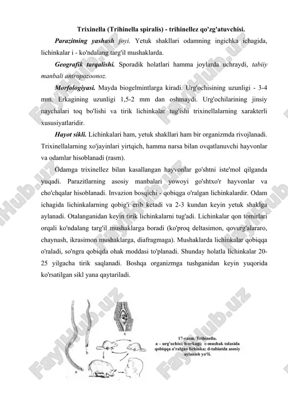 motlar yig'ish) ma'lumotlari, biopsiya, immunologik, allergologik tekshirishlar asosida tashhis qo'yiladi. profilaktikasi. shaxsiy profilaktika - veterinar nazoratidaii o'tmagan go'shtni iste'mol qilmaslik. jamoat profilaktikasi - cho'chqalar, va boshqa hayvonlar go'shtlarini veterinayariya-sanitariya ekspertizasini to'g'ri yo'lga qo'yish yo'li bilan amalga oshiriladi. zararlangan go'shtni har qanday qaynatganda ham lichinkalar o'lmaydi. zararlangan go'sht yo'qotiladi yoki tehnik maqsadlarda ishlatiladi. rishta (dracunculus medinensis) - drakunkulez qo'zg'atuvchisi parazitning odamda joylashishi. parazit odamning teri osti yog' kletchatkasida yashaydi. geografik tarqalishi. arab mamlakatlarida, hindistonda, eronda, tropik afrikada tarqalgan. 20 asrning 30-yillarigacha drakunkulez buxoroda keng tarqalgan edi. l. m. isaev rahbarligida o'tkazilgan choralar natjasida buxoroda drakunkulez batomom tugatilgan. antroponozoonoz kasallik hisoblanadi. morfologiyasi. yirik biogel'mint bo'lib, urg'ochisining uzunligi 1,5m, erkaginiki esa 15-30 mmga yaqin. tirik lichinkalar tug'uvchi gijjalar guruhiga kiradi. hayot sikli. definitiv xo'jayini - odam va hayvonlar (maymunlar, uy hayvonlari, yowoyi hayvonlar), oraliq xo'jayini esa tuban qisqichbaqasimonlar - sikloplardir. invazion bosqichi lichinkalar hisoblanadi. odamga lichinkalar bilan zararlangan siklopli suvni ichganda yuqadi. odam …