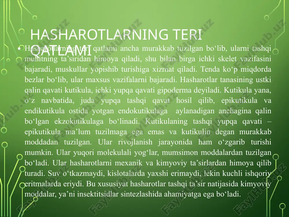 oplamining ostidagi qavat – gipodermindan ishlanib chiqadigan xitindan iborat. endokutikula gorizontal va, ba’zan vertikal tolalardan iborat. vertikal tolalar, ko‘pincha, xitinlashgan o‘simta deb ataladi. endokutikula bo‘g‘imlar o‘rtasida ancha yupqa bo‘lib, tananing ayrim qismlari harakatlanishiga yordam beradi. gipoderma bir qavat hujayralardan tashkil topgan bo‘lib, teri epiteliysini hosil qilib, ular kutikulaning ostida joylashadi. gipodermaning yosh hujayralari ustki tomonidan cho‘zilib, protoplazmatik ipga aylanadi, ulardan keyinchalik endokutikula qavati hosil bo‘ladi. shu bilan birga, gipoderma lichinka suyuqligini ajratadi, ana shu suyuqlik hasharotlarning po‘st tashlashdan oldin eski endokutikulasini ajratadi. asosiy parda yoki ba’zan membrana gipodermaning ostiga yopishgan bo‘lib, juda yupqa parda hosil qiladi. teri qoplami teri qoplami ustida har xil tuzilmalar bor. ular bo‘rtiqchalar, qirralar, jo‘yakchalar, tukchalar, qilchalar, tangachalar holida bo‘lib, to‘rt asosiy guruh: xetoidlar, samatoxetlar, dermatoxetlar va dermatolepidlarga bo‘linadi. xetoidlar kutikulaning mayda o‘simtalari, tishchalari, bo‘rtiqchalaridir. somatoxetlar xetoidlarga qaraganda ancha yirik bo‘lib, ular terining hamma qavatini ko‘tarib chiqishidan hosil bo‘lgan va ichida umumiy tana bo‘shlig‘i qo‘shiladigan bo‘shliq …