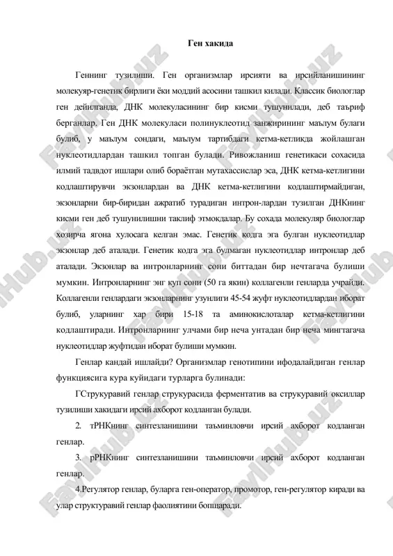 генлар струкурасида ферментатив ва струкуравий оксиллар тузилиши хакидаги ирсий ахборот кодланган булади. 2. трнкнинг синтезланишини таъминловчи ирсий ахборот кодланган генлар. 3. ррнкнинг синтезланишини таъминловчи ирсий ахборот кодланган генлар. 4.регулятор генлар, буларга ген-оператор, промотор, ген-регулятор киради ва улар структуравий генлар фаолиятини бопщаради. геннинг кодлашган кисми фаоллашган кодондан бошланиб, пассив кодон билан тугайди. улар ирнкнинг марказий кисмида жойлашади ва полипептидни трансляциялайди. уларда 5: -трансляцияланмайдиган соха, ундан кейин з'-трансляцияланмайдиган соха келади. бу кетма-кетлик трансляция жараёнининг регуляциясида катнашади. з^трансляцияланмайди-ган соха ирнк фаолияти вактига, трансляцияланмайдиган соха трансляция жараёнининг эффективлигига таъсир этади. эукариот хужайраларда бирламчи транскрипт сплайсинги натижасида экзон ва интрон нусхасини узида жамлаган про-ирнк дан ирнк хосил булади. сплайсинг бу-итрон нусхаларни киркиб ирнк молекуласига экзон транскриптларни улаш жараёни хисобланади. одатда, про-ирнк етилган ирнк дан бир неча марта катта булади. транскрипция жараёнида дастлаб про-ирнк хосил булади ва бу жараённи даслабки транскрипт дейилади. про-ирнк даги экзонларни интронлардан ажратиб олиб, уларни бир-бирига улаб тайёр ирнк га айлантириш жараёни …