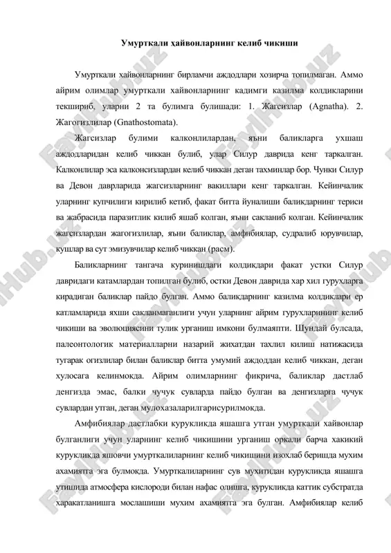 нинг келиб чикишини изохлаб беришда мухим ахамиятга эга булмокда. умурткалиларнинг сув мухитидан курукликда яшашга утишида атмосфера кислороди билан нафас олишга, курукликда каттик субстратда харакатланишга мослашиши мухим ахамиятга эга булган. амфибиялар келиб чикиши ва эволюциясида бу икки омил хал килувчи ахамиятга эга булган. бундан келиб чикадики, амфибиялар келиб чикиши икки хил нафас олувчи панжа канотли баликлар билан боглик. уски девон даврида чучук сувларда яшовчи панжа канотлилардан дастлабки амфибиялар, яъни ихтиостегидлар келиб чиккан. уларнинг колдиклари гренландиядан, устки девон даври катламларидан топилган. бу хайвонлар ташки куринишига кура хозирги думли амфибияларга анча ухшаш булган. бу хайвонлар сувда яшаган, лекин баъзан курукликка хам чиккан. ихтиостегидлар девон даврининг охирида панжа канотли баликларни чучук сувлардан сикиб чикарган ва сув буйидаги нам жойларни эгаллаб олган. хрзирги амфибиялар мезозой эрасининг охири кайназой эрасининг бошларидапайдо булган (расм). расм. морфологик жи^атдан хордалиларнинг филогенетик алокаси (о.м.иванова-казас, 1995) энг кадимги судралиб юрувчилар устки тошкумир даврида бундан 300 млн йиллар олдин пайдо булган. уларнинг …