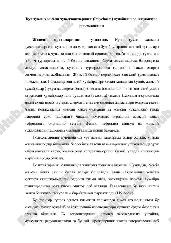 халкаларда яккол сезилади, яъни бу кисмдаги туклар купайиб ва йугонлашиб параподиялари сузишга ёрдам берадиган органга айланади. бу сегментлардаги ичаклар дегенерацияга учрайди, мускуллари редукцияланади ва бундай нереидларнинг шакли гетеронереида деб аталади. булар жинсий вояга етмаган формасидан фарк килиб, пелашк хаёт кечиради ва денгиз суви юзасига чикиб купаяди. расм. ҳалкали чувалчанглар жинсий органларининг тузилиши (в.а.догель, 1981) палоло (eunie viridis) эпиток кисми жуда узун (20 см дан узун) булиб, у аток кисмдан ажралади ва сувда эркин сузиб юради. бу ходиса йилнинг маълум вакшда содир булади ва сув юзасига жуда куплаб чикиб колади. палоло октябрь, ноябрь ойларида тинч океанида, айнивда самоа ва фиджи ороллари атрофидаги сув юзасига чикиб колади. шу пайт махаллий ахоли уларни куплаб йигиб олади ва истеъмол килади. айрим турларида олдинги ва орка кисмлар бир-биридан ажралади ва олдинги кисмнинг орка сегменти регенерацияга учраб, дум хосил булади. орка кисмнинг олдинги учида янгидан бош кисм пайдо булади. autolytus, myrianida ва бошкаларида эпиток кисмда аток …