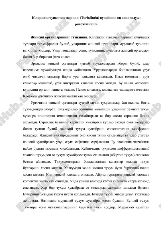 урчиш вактида кабул килинган сперматозоид сакланади. хар бир тухум хужайрада оз микдорда сариклик моддаси булади. буларнинг устидан тухум пусти копланади. бундай тухум энтолецитал тухумлар дейилади. натижада мураккаб тухум хужайра хосил булади. бундай тухум хужайра ясен чувалчангларнинг барчаси учун хосдир. мураккаб тузилган турбеллярияларда тухумдон икки кисмга: бир кисми йирик булиб, ундан озука сифатида сарфланадиган тулик шаклланмаган тухум хужайра етилса, иккинчи кисми кичик булиб, ундан тулик етилпш тухум хужайра етилади. бу кисмлар мустакил жуфт органлар: тухумдон ва сариклик безига айланади. хосил булаётган тухум хужайрада умуман сариклик моддаси булмайди (алецитал тухум). уругланишдан кейин тухум атрофию, сарик хужайра, унинг устини эса тухум кобиги ураб олади. бундай тухумлар экзолецитал тухумлар дейилади. туреллярияларда ички уругланиш содир булади. бунда бир индивид-нинг кушшшш органи самка сифатида иштирок этаеттан иккинчи индивиднинг жинсий клоакасига киради ва уругланиш содир булади. турбелляриялар уругланган тухумини якка-якка ёки пилла хосил килиб куяди. пиллани сувнинг тагидаги жисмларга, сув утларининг баргларига ёпиштириб куяди (расм). киприкли чувалчангларнинг …