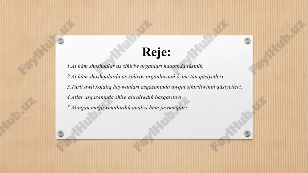 meralı haywanlar asqazanına uqsas dúzilgen bolıp, qosımsha, bas hám qatlam bez kletkaların ıyelewi onı shın asqazan deliniwine sebep boladı. gúyis qaytarıwshı haywanlar asqazanında azıqkólemin jaqsı túsiniw ushın onıń hár qaysı bólimindegi sińiriliwi hám qızıl óńesh sortı menen tanısıp shıǵıw kerek. úlken qarın asqazannıń baslanǵısh hám úlken bólegi bolıp, qarın boslıǵın shep tárepin tolıq hám bólekan ońın iyelep, kólemi qaramallarda 100 - 300, qoy hám eshkilerde 13 - 23 litr bolıp tabıladı. ishki shillimshiq perdesindegi túrli tárepke jónelgen búrmeler úlken qarın boslig'ining dáliz, dorsal hám ventral xoltalarga hám kaudo - dorsal hám de kaudo - vetral soqır xoltalarga ajratadı. jas haywanlar úlken qarın shillimshiq perdesinde 0,5 sm, úlken haywanlarda 1 sm keletuǵın so'rg'ichlar bolıp, onıń dúzilisi atqaratuǵın wazıypasına mos bolıp tabıladı. tor qarın ekinshi bólim bolıp, kólemi siyirlerde 5 - 10 litrdi, qoy hám eshkilerde 1,5 - 2,0 litr átirapında bolıp tabıladı. ol úlken hám qat qarın hám de tiyisli jollar …