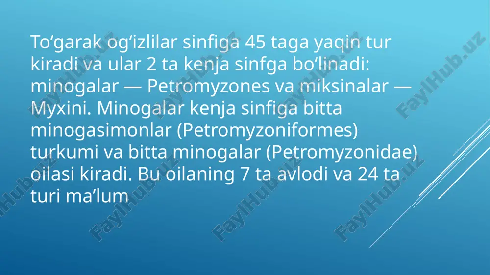 ropa dengizlarida, osiyo va amerikaning shimoliy dengizlarida ko‘p uchraydi, asosan daryolarda ko‘payadi. neva minogasi urchish, ya’ni ikra tashlash uchun dengizdan daryoga o‘tadi. neva minogasi fin ko‘rfazidan yiliga 2 marta, bahorda va kuzda neva daryosiga o ‘tadi. ular yozda ikra tashlaydi. kuzda daryoga kirgan neva minogalari bu yerda qishlab qoladi. urg‘ochi minogalar bir y o ‘la 10 minglab ikra tashlaydi. ikra tashlagandan keyin barcha erkak va urg‘ochi minogalar halok bo‘ladi, ya’ni bu minogalar hayoti davomida bir marta tuxum qo‘yadi soy minogasi (lampetra planeri)ning uzunligi 16—30 sm atrofida bo‘ladi. ular, asosan yevropa daryolarida yashaydi, dengizlarda uchramaydi, may oyida ikra tashlab, so‘ngra halok bo'ladi. ularning ov ahamiyati yo‘q. minogalar orasida eng yirigi dengiz minogasi (petremyzon marinus) bo‘lib tanasining uzunligi 90—100 sm ga, og'irligi esa 3 kg ga yetadi. dengiz minogasi atlantika okeanining shimoliy qismida keng tarqalgan. bu tur shimoliy amerika daryo va ko'llariga ham o ‘tib, ko‘l populyatsiyasini hosil qiladi. ular shimoliy yevropa …