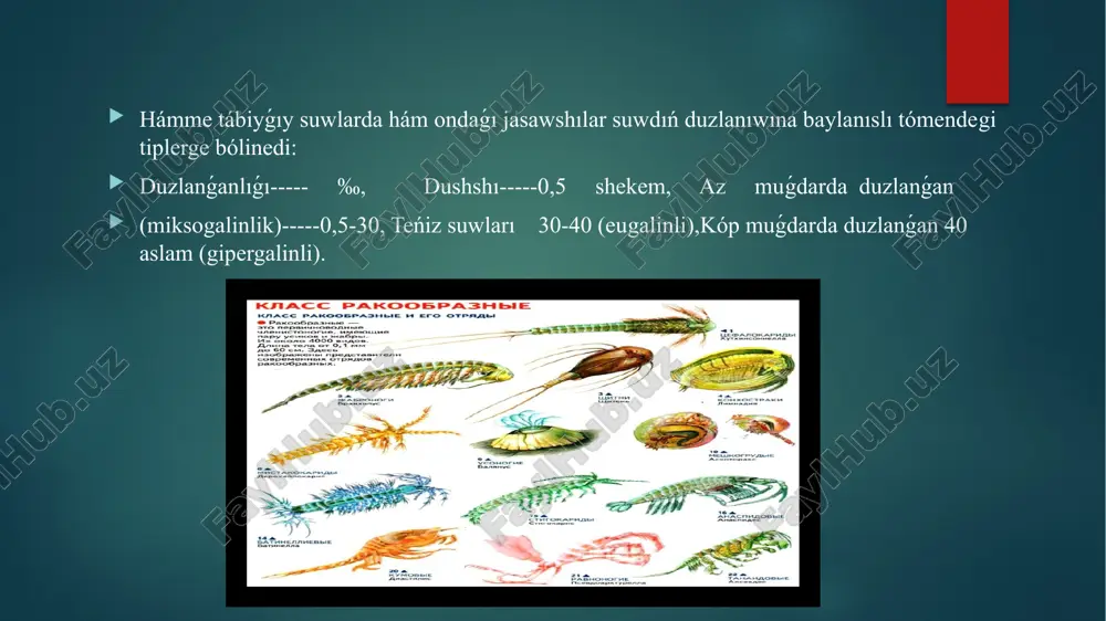 ám onda kislorod menen boyiydi. saǵaqlardan gemolimfa vena tamırları arqalı taǵı júrekoldi bo’lmeshesine kelip quyıladı. bir qansha ápiwayı dúzilgen shayan tárizlilerdiń júregi bir neshe bo'lmelerga bólingen uzın nayga uqsaydı (ayırım saǵaq ayaqlilar)japiraq ayaqlilar shayan tárizlilerda (kómiwiya) qan tamırları bolmaydı ; júrek gemolimfani aralastırıw wazıypasın atqaradı. kópshilik shayan tárizliler gemolimfasi reńsiz boladı. biraq gemolimfasi qızıl yamasa kógildir bolǵan túrleri de bar. gemolimfanin’ reńi onıń plazmasinda erigen dem alıw pigmentlari gemoglobin yamasa gemotsianinga baylanisli.bólip shıǵarıwsisteması. shayan tárizlilerdiń bólip shıǵarıwsisteması kelip shıǵıwına kóre saqıynalı jawın qurtılardıń metatnefridiylari menen baylanisqan. bólip shıǵarıwsisteması 1-2 jup antennal yamasa maksillar bezdan ibarat (4- súwret). joqarı shayan tárizlilerdiń bólip shıǵarıwshólkemleri bas bóleginde jaylasqan bir jup uzın quramalı nayshalardan ibarat. nayshalar quramalısınıń bir ushida celomik qapshıq, ekinshi uchida bolsa sidik qaltashası (quwıq ) jaylasqan. quwıq antennalarnin’ tiykarında tısqarına ashıladı. dárya teńiz shayanınıń qan aylanıw sisteması. 1 - antennalar arteriyası, 2 - aldınǵı aorta, 3 - júrek, 4 - perikardiy, …