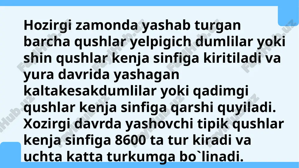 qushlarning sistematikasi - Page 2