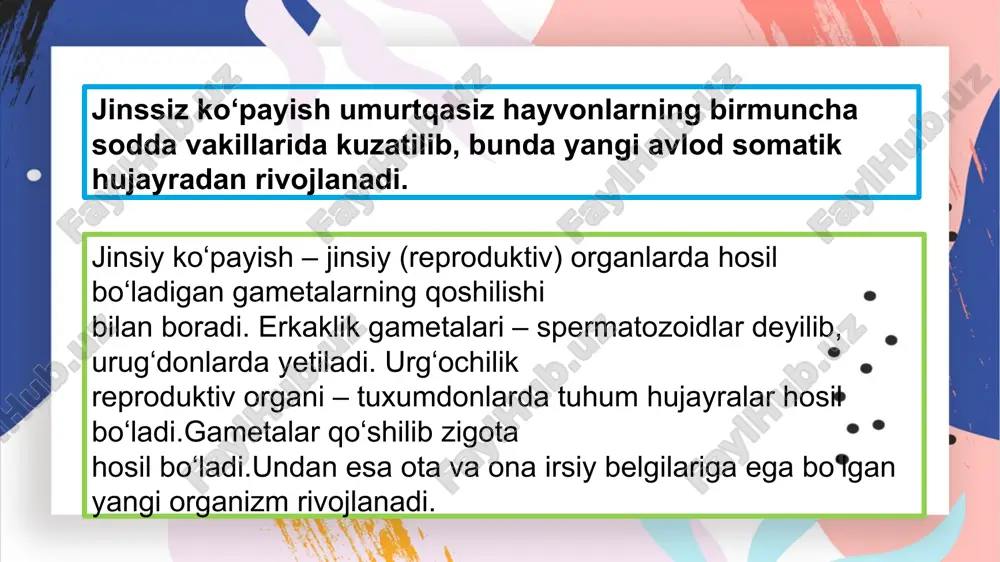 larini turli muhitlarga qo‘yadilar. amfibiyalarning ko‘payishi. may va aprelning iliq kunlarida amfibiyalarda ko‘payish instinktlari kuzatiladi. erkak baqalar baland ovozda “sayray” boshlashadi. buning uchun ularda mahsus ovoz chiqaradigan organ rezanatorlari mavjud. reproduktiv sistemasi huddi baliqlarnikiday, urg‘ochilarida tana bo‘shlig‘ida joylashgan bir juft tuxumdon, erkaklarida buyrak yaqinida joy lashgan bir juft urug‘dondan iborat. yetilgan tuxum hujayralar tuxum yo‘lida shilimshiq qobiq bilan o‘ralib kloakaga ,u yerdan tashqariga chiqariladi. amfibiyalarda tashqi urug‘lanish kuzatiladi. urug‘langan tuhumlar suv yuzasida to‘p-to‘p bo‘lib qalqib yuradi.tuxumlarning ustki qismi qoramtir tusda bo‘lganidan quyosh nuri tasirida yaxshi isiydi amfibiyalarning ko‘payishi. qushlarning ko‘payishi qushlarning ko‘payish davri tuxumdan chiqadigan jo‘jalar uchun oziqaning mo‘l -ko‘l bo‘lishiga bog‘liq. erkak qushlarda bir juft urug‘don va bir juft urug‘ yo‘li bo‘lib, u kloakaga ochiladi. urg‘ochilarida bitta tuxumdon va tuxum yo‘li bo‘lib, tuxum hujayra tuxum yo‘lida urug‘lanadi. urug‘langan tuhum ohak po‘choq bilan o‘ralib, kloaka orqali tashqi muhitga chiqariladi. qushlar tuxum hujayrasida sariqlikning miqdori ko‘p, metamorfozsiz rivojlanadi. jinsiy ko‘payish bilan …