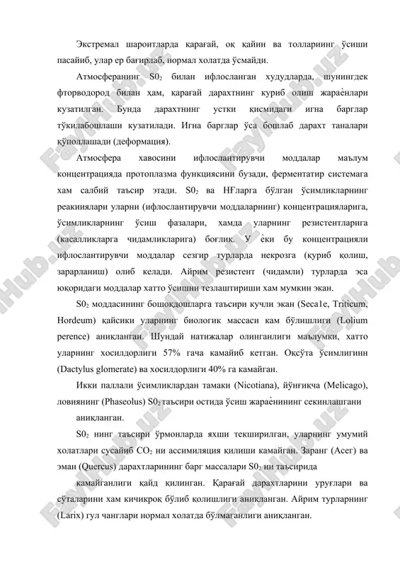 и. игна барглар ўса бошлаб дарахт таналари қўполлашади (деформация). атмосфера хавосини ифлослантирувчи моддалар маълум концентрацияда протоплазма функциясини бузади, ферментатир системага хам салбий таъсир этади. s02 ва нғларга бўлган ўсимликларнинг реакииялари уларни (ифлослантирувчи моддаларнинг) концентрацияларига, ўсимликларнинг ўсиш фазалари, хамда уларнинг резистентларига (касалликларга чидамликларига) боғлиқ. у ѐки бу концентрацияли ифлослантирувчи моддалар сезгир турларда некрозга (қуриб қолиш, зарарланиш) олиб келади. айрим резистент (чидамли) турларда эса юқоридаги моддалар хатто ўсишни тезлаштириши хам мумкин экан. s02 моддасининг бошоқдошларга таъсири кучли экан (sеса1е, тriticum, ноrdeum) қайсики уларнинг биологик массаси кам бўлишлиги (lolium perence) аниқланган. шундай натижалар олинганлиги маълумки, хатто уларнинг хосилдорлиги 57% гача камайиб кетган. оқсўта ўсимлигинн (dactylus glomerate) ва хосилдорлиги 40% га камайган. икки паллали ўсимликлардан тамаки (nicotiana), йўнғиқча (меlicago), ловиянинг (рhaseolus) s02 таъсири остида ўсиш жараѐнининг секинлашгани аниқланган. s02 нинг таъсири ўрмонларда яхши текширилган, уларнинг умумий холатлари сусайиб со2 ни ассимиляция қилиши камайган. заранг (асег) ва эман (quercus) дарахтларининг барг массалари s02 ни таъсирида …