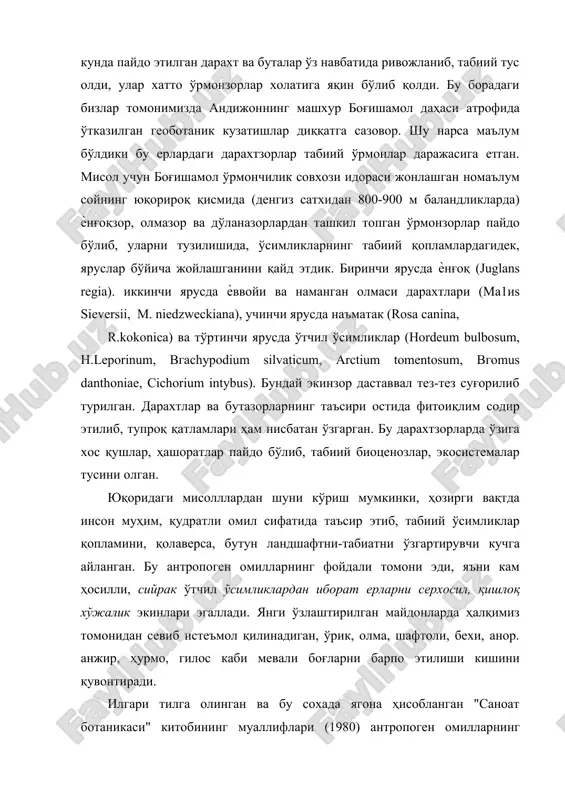 ўтказилган геоботаник кузатишлар диққатга сазовор. шу нарса маълум бўлдики бу ерлардаги дарахтзорлар табиий ўрмонлар даражасига етган. мисол учун боғишамол ўрмончилик совхози идораси жонлашган номаълум сойнинг юқорироқ қисмида (денгиз сатхидан 800-900 м баландликларда) ѐнғоқзор, олмазор ва дўланазорлардан ташкил топган ўрмонзорлар пайдо бўлиб, уларни тузилишида, ўсимликларнинг табиий қопламлардагидек, яруслар бўйича жойлашганини қайд этдик. биринчи ярусда ѐнғоқ (juglans regia). иккинчи ярусда ѐввойи ва наманган олмаси дарахтлари (ма1иs sieversii, м. niedzweckiana), учинчи ярусда наъматак (rosa саnina, r.kokonica) ва тўртинчи ярусда ўтчил ўсимликлар (ноrdeum bulbosum, н.leporinum, вгасhypodium silvaticum, аrctium tomentosum, вгоmus danthoniae, сichorium intybus). бундай экинзор даставвал тез-тез суғорилиб турилган. дарахтлар ва бутазорларнинг таъсири остида фитоиқлим содир этилиб, тупроқ қатламлари ҳам нисбатан ўзгарган. бу дарахтзорларда ўзига хос қушлар, ҳашоратлар пайдо бўлиб, табиий биоценозлар, экосистемалар тусини олган. юқоридаги мисолллардан шуни кўриш мумкинки, ҳозирги вақтда инсон муҳим, қудратли омил сифатида таъсир этиб, табиий ўсимликлар қопламини, қолаверса, бутун ландшафтни-табиатни ўзгартирувчи кучга айланган. бу антропоген омилларнинг фойдали томони эди, …