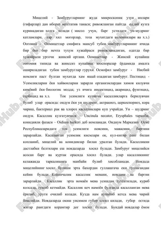 салликни дастлабки белгилари еш новдаларда хосил булади. замбуруг мицелийси асосан барг ва куртак орасида хосил булади. улар касалликнинг келажакда таркалишига манбайи булиб хисобланади. новдада мицелийнинг хосил булиши эрта бахордан гуллашгача еки гуллагандан кейин булади. кейинчалик касаллик мевани, новдани ва баргни зарарлайди. касаллик эрта номаён мева усишдан тухтатилади, куриб колсада, тушиб кетмайди. касаллик кеч намоён булганда касалланган мева ёрилиб, уруги очилиб колади. кузда нам купайиб кетса мева чирий бошлайди. новдаларда окиш унсимон губор хосил килади, губор остида жигар рангдаги корамтир дог хосил булади. бундай новдалар ёмон ёгочлашади, тезда совук уради, келгуси йили ёмон хосил беради. баргнинг хар икки томонида окиш губор хосил булиб, кейинчалик у кунгир рангга киради, касалликка ок мускат, танфи навлари берилувчандир. касаллик 70% намликда тез ривожланади, касаллик кузгатувчисининг мицейлиси 11 –12 с да усишни бошлайди, 18 – 25 с да эса тез ривожланади. касалликнинг инфекция манбайи – касалланган новда ва куртак пустида жойлашадиган мицелий хисобланади. карши кураш чоралари: …