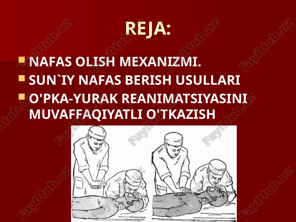 ilsa, reanimatsiya muvaffaqiyatli o'tkaziladi, aks holda reanimatsiyaning qolgan elementlarini bajarish befoyda. koma va narkoz paytlarida yoki behush bo'lgan bemorlarda til orqaga ketib, nafas yo'llarini berkitib qo'yadi. og'ir jarohatlar natijasida singan tishlar, ezilgan to'qimalar, balg'am va laxta qon, qusuq mahsulotlari ham nafas yo'llarini berkitib qo'yadi. laringospazm, bronxospazmlar, nafas yo'lining qisilishi va allergiyalarda nafas yo'llari shishib, berkilib qolish hollari sodir bo'ladi. nafas yo'llarining bunday berkilib qolishiga mexanik berkilish yoki asfiksiya deyiladi. mexanik berkilish to'liq va qisman bo'lib, to'liq berkilganda, o'pkaga umuman nafas o'tmaydi, bemor ko'kargan bo'ladi, og'ziga havo yuborilganda ko'krak qafasi ko'tarilmaydi. qisman berkilganda havo yuborilganda yoki bemor o'zi nafas olsa, qovurg'alar orasi kengayadi, nafas olishda nafas mushaklari qatnashadi, bemorda gipoksiyaklinikasi ko'zga tashlanadi. birinchi navbatda nafas yo'llarini tozalash uchun bemor tekis va qattiq joyga chalqanchasiga yotqiziladi, qisgan kiyimlari yechiladi va muolaja quyidagicha bajariladi: bemorning bo'yni orqaga maksimal qayiriladi; jag'i oxirigacha ko'tariladi; pastki va yuqorigi jag'i oldinga chiqariladi. shunda nafas yo'llarida qarshilik kam …