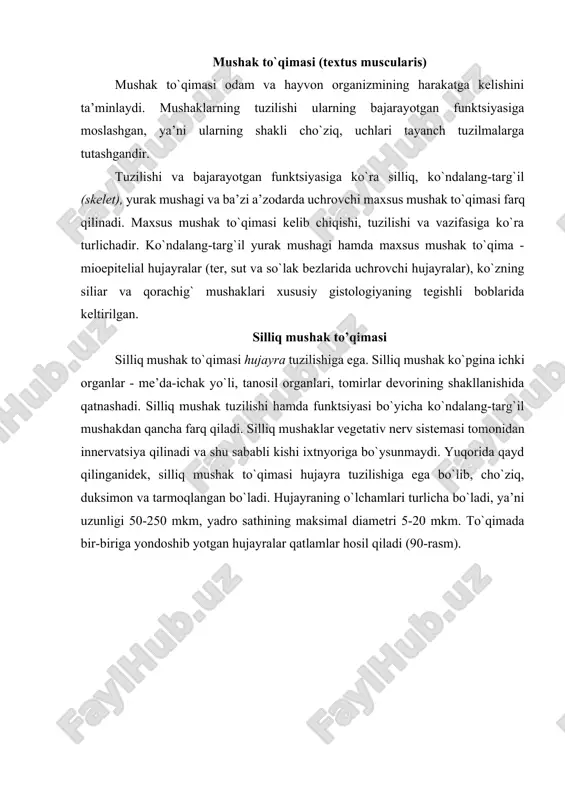 , g -silliq mushak hujayrasining bo`shashgan (v) va qisqargan (g) holati (elektron mikroskopda ko`rinishi). (a.xem, d.kormakdan, 1982). 1 - sarkolemma (plazmolemma); 2 - yadro; 3 - yadro teshiklari; 4 - golji kompleksi; 5 - miofibrillalar; 6 - zich tanacha; 7 -ribosoma va polisomalar; 8 - mikropinotsitoz pufakchalar; 9 - mitoxondriyalar. ular bir-biriga nisbatan shunday joylashadiki, bir hujayraning markaziy qismiga boshqa hujayraning o`tkir uch qismi yopishadi. silliq mushak hujayralari sirtdan sarkolemma bilan qoplangan, unda qalinligi taxminan 7,5 nm ga teng plazmatik membrana va tashqi bazal membrana farq qilinadi. yonma-yon yotgan hujayralarning plazmatik membranalari ba’zi joylarda juda yaqinlashib tutashish nuqtalarini hosil qiladi. membranalarning bunday yaqinlashish joylari silliq mushak hujayralarining biridan ikkinchisiga qo`zg`alish o`tishiga xizmat qiladi, degan taxminlar bor. hujayra sitoplazmasida yadro, umumiy organellalar va miofibrillalar joylashadi. 91-rasm. silliq mushak. me’da devori shilliq qavatining mushak plastinkasidan olingan silliq mushak hujayrasi. elektron mikrofotogramma. x.85oo. 1- yadro; 2 - sitoplazma; 3 - hujayra atrofidagi kollagen …