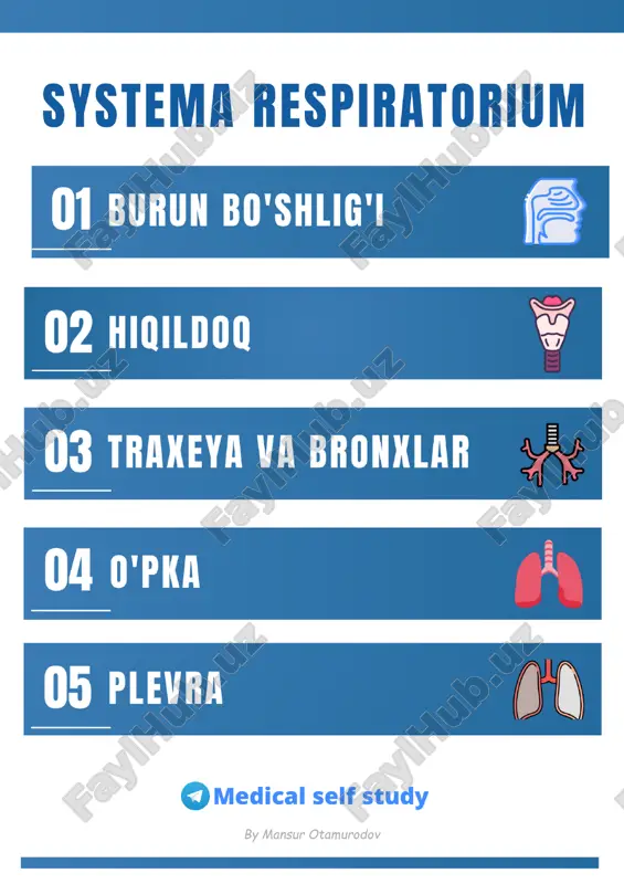 n suyakchalar j-n: 1. concha nasalis superior 2. concha nasalis media 3. concha nasalis inferior chig’anoqlar orasida burun yo’llari hosil bo’ladi va bu yo’llarga atrofdagi bo’shliqlar bilan bog’laydigan teshiklar ochiladi. meatus nasi - burun yo’llari: meatus nasi superior meatus nasi media meatus nasi inferior meatus nasi communis ii. burun bo’shlig’i sintopiyasi o yuqorida: fossa cranii anterior - oldingi miya chuquri o pastda: cavitas oris - og’iz bo’shlig’i o yonda: sinus maxillaris - yuqori jag’ sinusi o yuqori yonda: orbita - ko’z kosasi o orqada: nasopharynx - burun-halqum iii. burun bo’shlig’i devorlari 4 ta devori bor: ❖ paries superior ➢ cartilago nasi lateralis ➢ ossa nasalia ➢ pars nasalis ossis frontalis ➢ lamina cribrosa ossis ethmoidalis ➢ corpus ossis sphenoidalis ❖ paries inferior ➢ processus palatinus maxillae ➢ lamina horizontalis ossis palatinae ❖ paries lateralis ➢ facies nasalis maxillae ➢ processus frontalis maxilla ➢ os lacrimale ➢ labyrinthus ethmoidalis ➢ lamina …