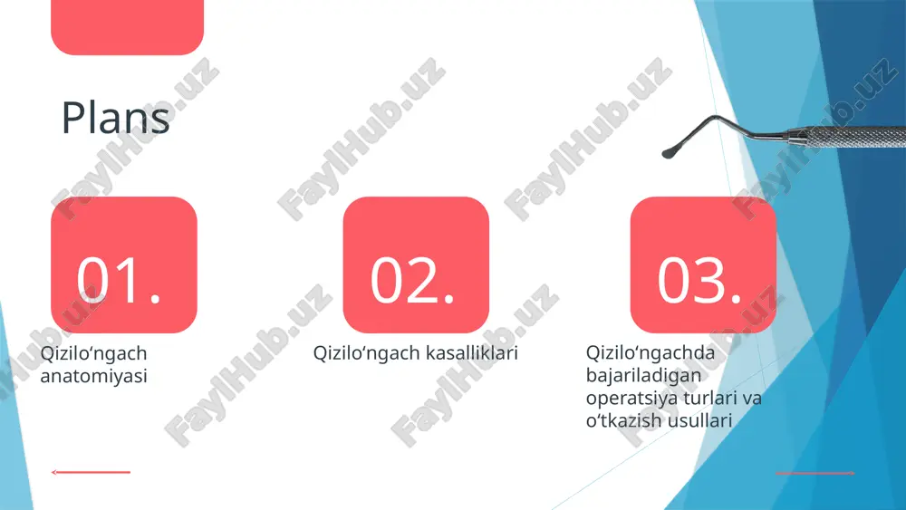 ziq ovqatni . o'tkazishda muhim rol o'ynaydi vegetativ nerv tizimi mushaklarning harakatini , va qon tomirlarining faoliyatini boshqaradi qiziloʻngachning ichki muhitini . tartibga soladi , , , qiziloʻngachda joylashgan nervlar ayniqsa vagus nervi yutish va oziqlanish . jarayonlarini optimallashtirishda muhimdir ular mushaklar qisqarishini va , - . peristaltikani boshqarib oziq ovqatning harakatlanishini ta'minlaydi nerv tizimi qiziloʻngachning tugʻma va orttirilgan nuqsonlarida operatsiyalar uchun ham , zarur hisoblanadi chunki u jarrohlik jarayonlarida qiziloʻngachning normal .funksiyalarini tiklashga yordam beradi photo by getty images on unsplash https://unsplash.com/@gettyimages?utm_source=ai_slide_maker&utm_medium=referral https://unsplash.com/photos/a-woman-has-an-annual-dental-check-up-in-dentist-surgery-5k_jcerub24?utm_source=ai_slide_maker&utm_medium=referral qizilo ngachning qon ta'minotiʻ qon ta'minoti haqida ma'lumot qiziloʻngach qon ta'minoti muhim ahamiyatga ega , . bo'lib u organizmning to'g'ri faoliyatini ta'minlaydi qiziloʻngachning qon ta'minoti asosan tomirlar orqali , amalga oshiriladi bu esa uning ozuqa va kislorod .bilan ta'minlanishiga yordam beradi qon tomirlari va ularning anatomik xususiyatlari : qiziloʻngachda ikkita asosiy qon tomiri mavjud . qiziloʻngach arteriyalari va venalari arteriyalar qonni , yurakdan olib keladi venalar …