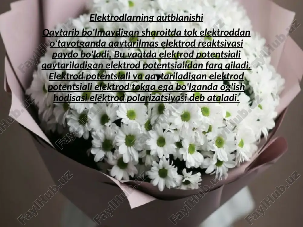 qutblanish - Page 2