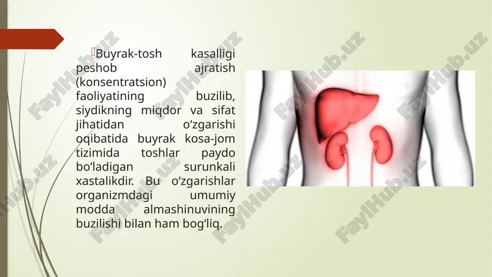 osan, organizmdagi moddalar almashinuvi buzilishini muvofiqlashtirish, buyrak va siydik yo‘llarida peshob harakatini ravonlashtirishdan iborat. shuningdek, siydik yo‘llaridagi infeksiyaga qarshi kurashiladi. kasallikni davolash mumkin emas! ko‘p miqdorda shovul va siydik kislotasi paydo qiluvchi mahsulotlar iste’mol qilish taqiqlanadi. osh tuzi, jigar, buyrak, til, qazi va dudlangan go‘sht, margarin, bedana tuxumi, brinza, pishloq, shokolad, qo‘ziqorin, anjir, mosh, no‘xat, loviya, achchiq qora choy, qahva hamda kakao iste’mol qilmaslik talab etiladi. tavsiya etiladi! bemorlarga, asosan, yog‘siz mol go‘shti, qaynatilgan, bug‘da pishirilgan parranda va baliq go‘shti, o‘simlik moylari, sariyog‘, tovuq tuxumi (sutkasiga bittadan ko‘p emas), birinchi va ikkinchi navli un mahsulotlari, murabbo, marmelad, guruch va marjumak (grechixa), karam, bodring, turp, qovoq, sabzi iste’mol qilishi mumkin. o‘rik, behi, nok, olma, shaftoli, uzum, qovun-tarvuz, olcha kabi mevalar juda foydali. ko‘k choy, meva va sabzavot sharbatlari hamda na’matak damlamalari ham tavsiya etiladi. buyrak kasalliklari — alomatlari, turlari, tashxislash va davolash usullari erkaklar va ayollarda buyrak kasalliklari — siydik tizimining …