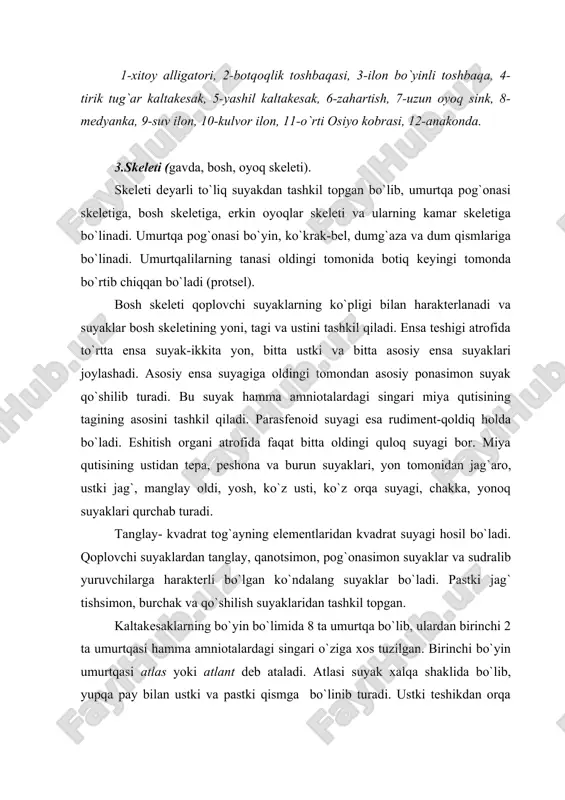 teshikdan ikkinchi bo`yin umurtqasi epistrofeyning tishsimon o`simtasi kirib turadi. atlas epistrofeyning tishsimon o`simtasi atrofida aylanadi. kaltakesakning ko`krak-bel bo`limlari 22 ta umurtqadan tashkil topgan. ularning hammasi qovurg`alar bilan tutashadi. oldingi 5 ta umurtqalarning qovurg`alari tush suyagiga tutashadi. kaltakesakning tushi tog`aydan tuzilgan. erkin oyoqlar skeleti va ularning kamar skeleti amfibiyalarning shu skeletlaridan unshalik farq qilmaydi. faqat to`sh suyagining ustida to`sh usti suyagi bo`ladi. dumgaza bo`limi ikkita umurtqadan iborat bo`lib, bularning ko`ndalang o`simtalariga chanoq kamarining yonbosh suyaklari birikib turadi. dum bo`limi bir qancha umurtqalardan iborat bo`lib, bularning ko`ndalang o`simtalariga chanoq kamarining yonbosh suyaklari birikib turadi. dum bo`limi bir qancha umurtqalardan tashkil topgan. dum umurtqalari dumning uchiga borgan sari o`simtalarini yo`qotib kalta-kalta suyakchalarga aylanadi. dum umurtqalarining tanasi yupqa pay bilan oldingi va keyingi bo`limlarga ajralib turadi. kaltakesaklar xavf tugilganda dumlarini shu joydan uzib tashlab ketadi va qaytadan dum tiklanadi. muskul sistemasi yaxshi takomillashgan bo`lib, muskullarni metamer joylashishi yo`qolib ketadi. hamma amniotalardagi singari qovirg`alararo muskul …