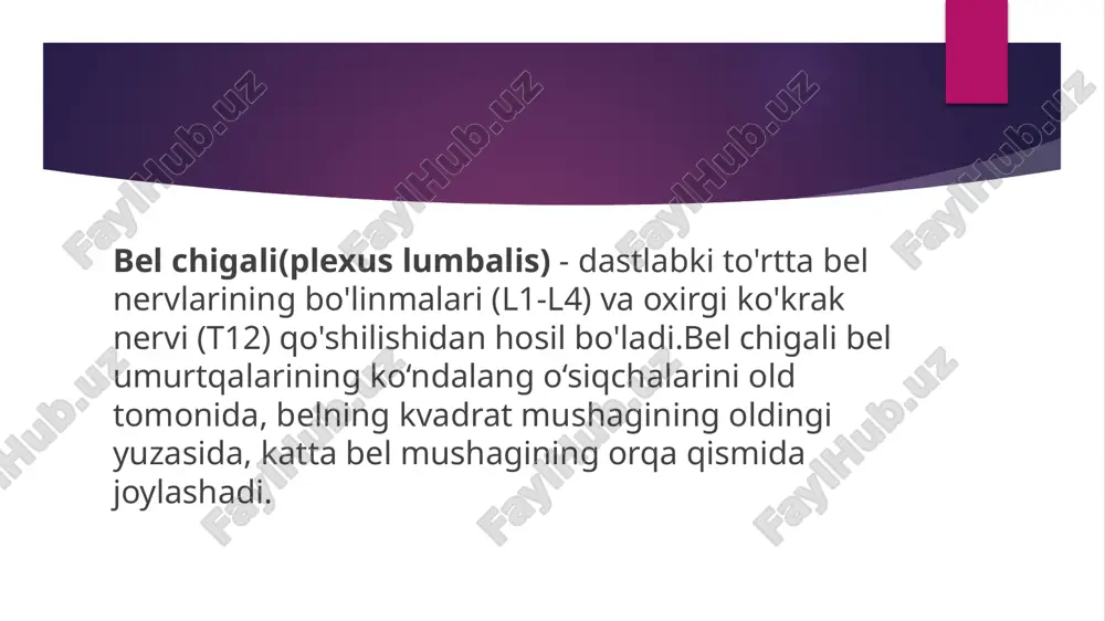 dumgʻaza chigalini hosil qiluvchi nervlar katta siyatik foramenning pastki qismiga yaqinlashadi va birlashib, old va orqa yuzalaridan bir nechta novdalar paydo boʻlgan tekislangan tasma hosil qiladi. guruhning oʻzi siyatik asab sifatida davom ettirilib, u sonning orqa qismida tibial asab va umumiy fibular asabga boʻlinadi; bu ikki nerv baʼzan pleksusdan alohida paydo boʻladi va barcha holatlarda ularning mustaqilligini disektsiya orqali koʻrsatish mumkin. dumgʻaza chigali, tos suyagining orqa tomonida, piriformis mushaklari va tos fastsiyasi oldida yotadi. uning oldida ichki yonbosh arteriyasi, ichki yonbosh venasi, siydik chiqarish kanali va sigmasimon ichak bor. yuqori gluteal arteriya va vena bel-sakral magistral va birinchi dumgʻaza asab oʻrtasida, pastki gluteal arteriya va vena esa ikkinchi va uchinchi dumgʻaza nervlar orasidan oʻtadi. image1.jpeg image2.png image3.png image4.jpeg /docprops/thumbnail.jpeg