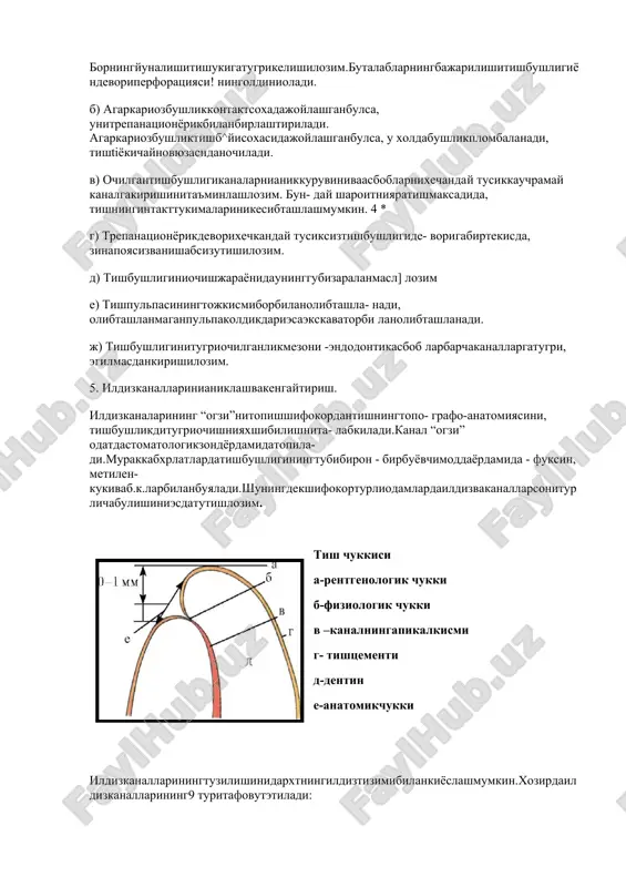 odontikasbob­ larbarchakanallargatugri, egilmasdankirishilozim. 5. ildizkanallarinianiklashvakengaĭtirish. ildizkanalarining “ogzi”nitopishshifokordantishningtopo- grafo-anatomiyasini, tishbushlikditugriochishniyaxshibilishnita- labkiladi.kanal “ogzi” odatdastomatologikzondërdamidatopila- di.murakkabxrlatlardatishbushliginingtubibiron - birbuëvchimoddaërdamida - fuksin, metilen-kukivab.k.larbilanbuyaladi.shuningdekshifokorturliodamlardaildizvakanallarsoniturlichabulishiniesdatutishlozim. tish chukkisi a-rentgenologik chukki b-fiziologik chukki v –kanalningapikalkismi g- tishtsementi d-dentin e-anatomikchukki ildizkanallariningtuzilishinidarxtningildiztizimibilankiëslashmumkin.xozirdaildizkanallarining9 turitafovutetiladi: 1 .birinchishakl. pulpakamerasitubidanboshlanib, toildizuchigachadavometadi..bundaĭ turdagiildizkanalimarkaziĭ kuraktishlarigaxosdir.bundaĭ tishlarnidavolashkiĭinchiliktugdirmaĭdi. 2. ikkinchishakl.ildizkanallaripulpakamerasitubidaaĭrixolidaboshlanib, ildizuchkitarafidabirlashadivayagonaapikaltirkishsifatidayakunlanadi.bundaĭ turpastkikurakvayukorigipremolyarlaruchunxos. 3. uchinchishakl.pulpakamerasitubidanyakkakanalxolidaboshlanib, ildizning 1/3 kismidaikkigaajralib, yanaapikalsoxadayagonatizimgabirlashibbittaapikalteshiksifatidayakunlanadi.bundaĭ xolatënguruxtishlarigaxos. 4. turtinchishakl.birildizlitishdaikkitamustakilbirbirigaboglikbulmaganxolatdaboshlanadivaapikalsoxadashutarzdayakunlanadi.bundaĭ kanallartizimigapastkikattavakichikoziktishlari, vakuraktishlariegadir. 5. beshinchishakl.birildizlitishdafakatbittakanalbulib, u apikalsoxadaikkigakanalchagaajraladi.bundaĭ xolatkupinchapastkikichikoziktishlaridakuzatiladi. 6. oltinchishakl.birildizlitishdapulpakamerasiningtubidayakkakanalsifatidaboshlanadi, sungikkigaajralib, kanalningurtakismidauzarobirlashadivaapikalsoxadayanaikkigaajraladi.bundaĭ shakldagikanalgamexanikvatibbiĭ ishlovberishmurakkabdir. 7. ettinchishakl.bittakanatpulpakamerasitubidaboshlanadi, sungkanalningurta